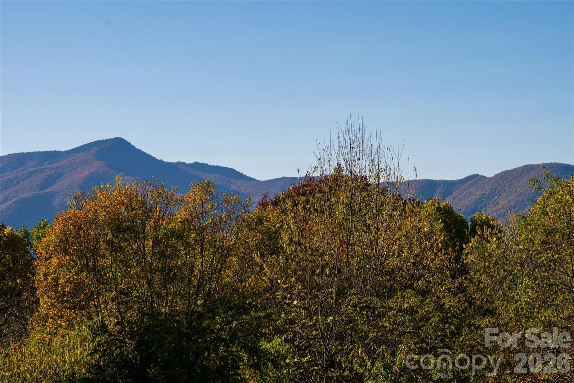 154 Presidential Drive - Photo 8