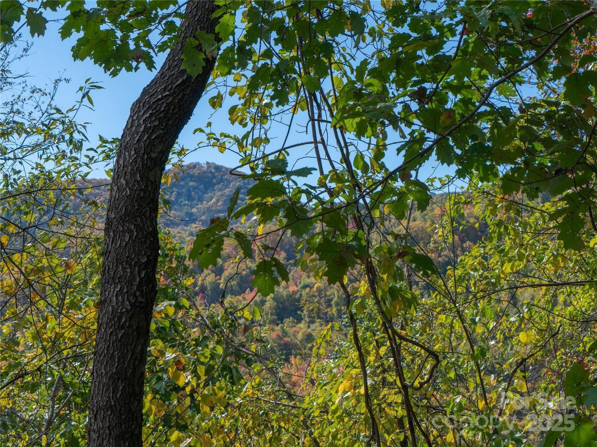 9999 Lovebird Lane #20,19,17,23 - Photo 11