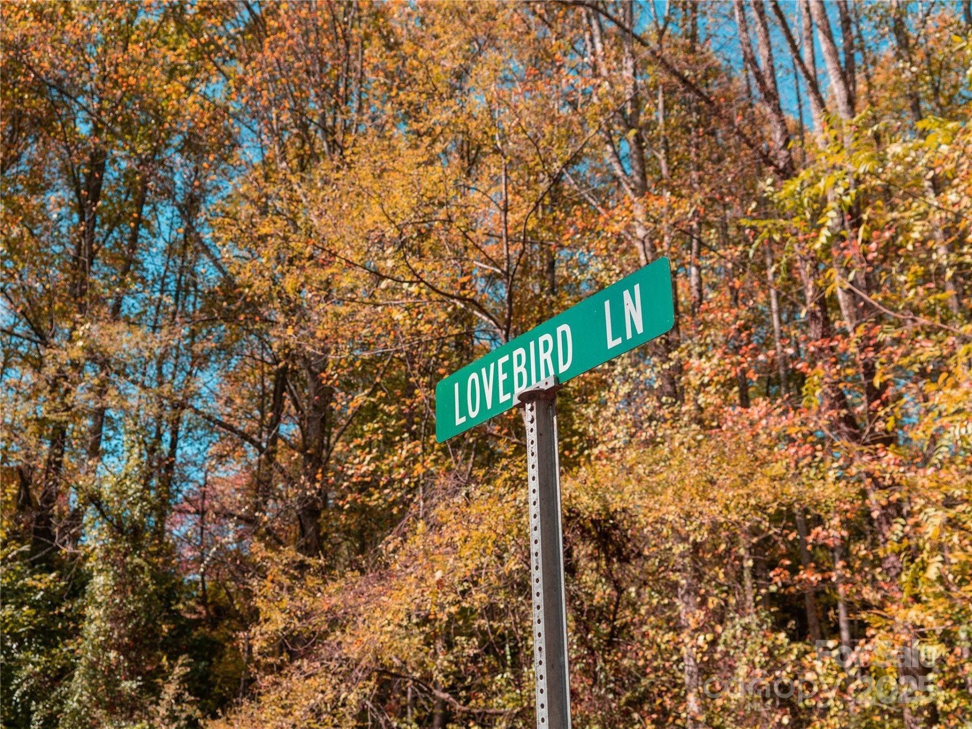 9999 Lovebird Lane #20,19,17,23 - Photo 12