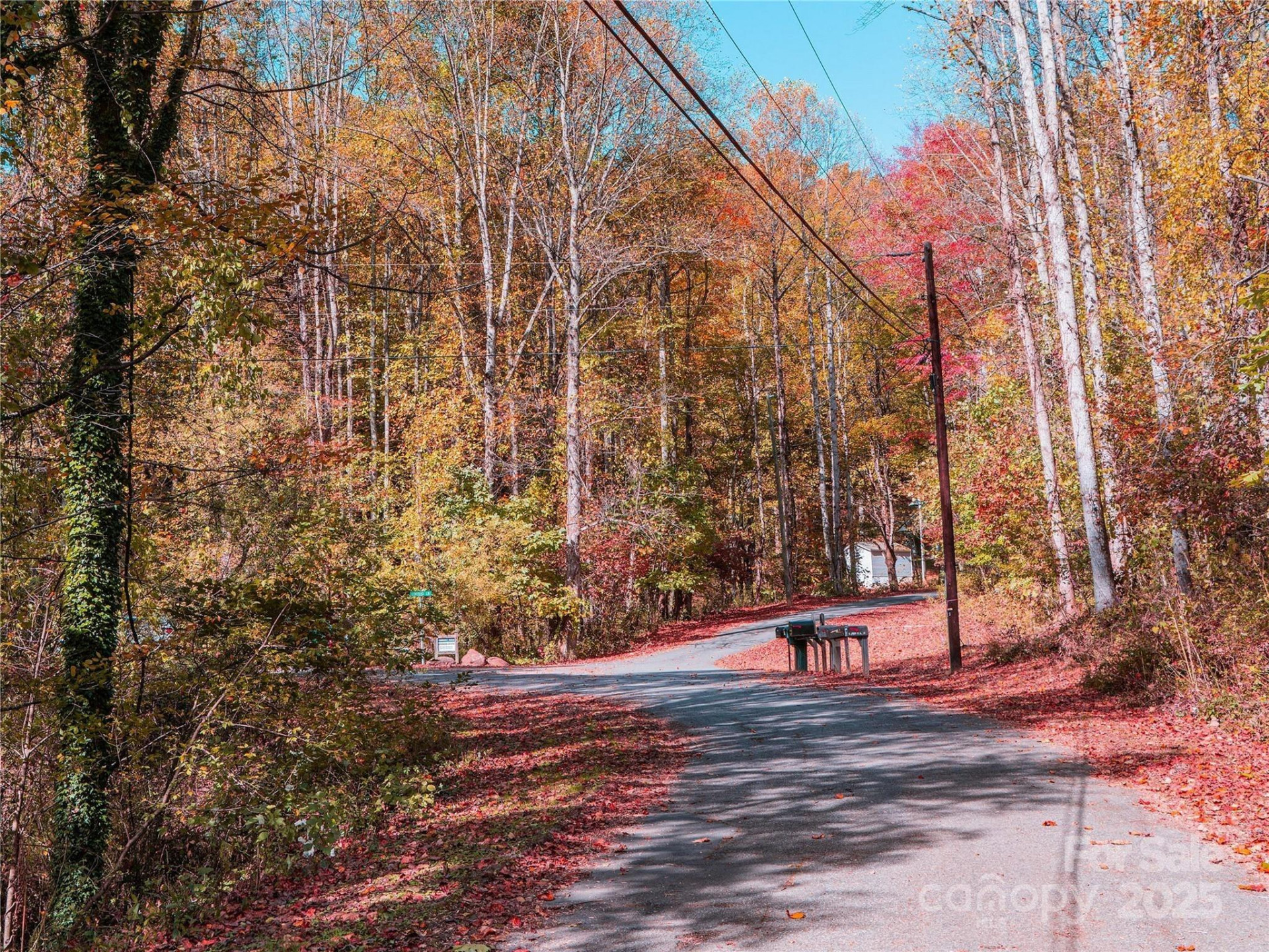 9999 Lovebird Lane #20,19,17,23 - Photo 13