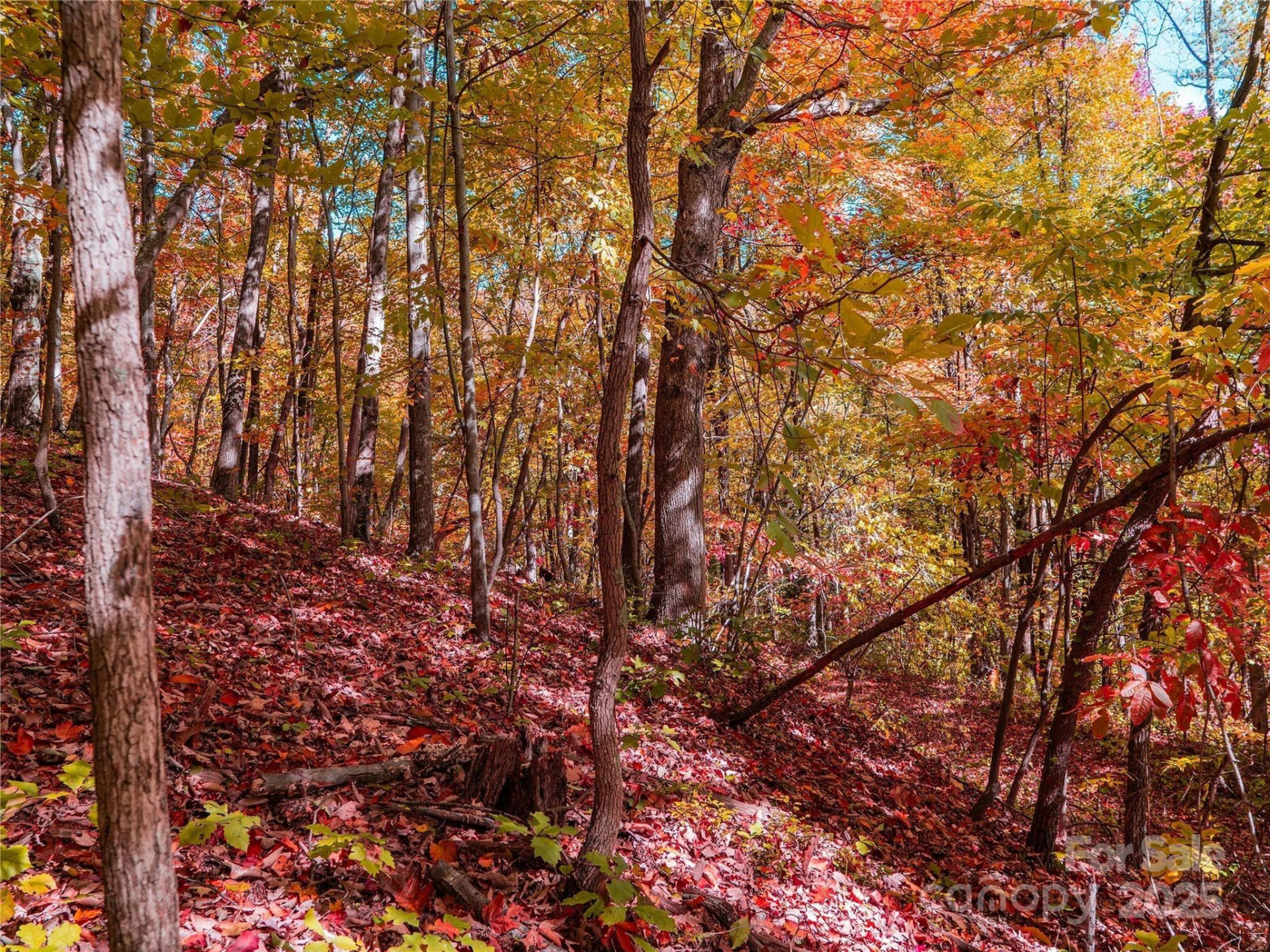 9999 Lovebird Lane #20,19,17,23 - Photo 14