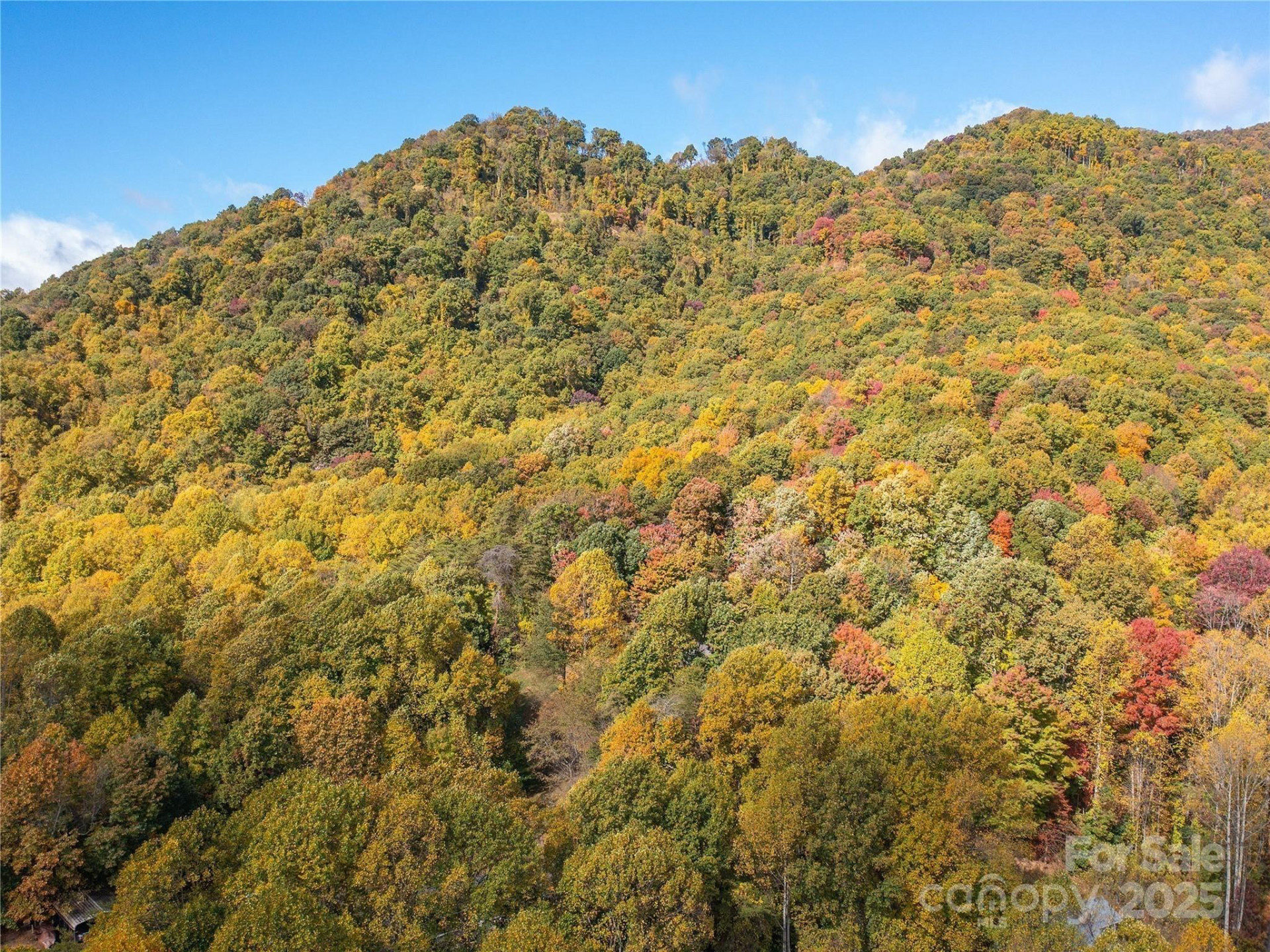 9999 Lovebird Lane #20,19,17,23 - Photo 15