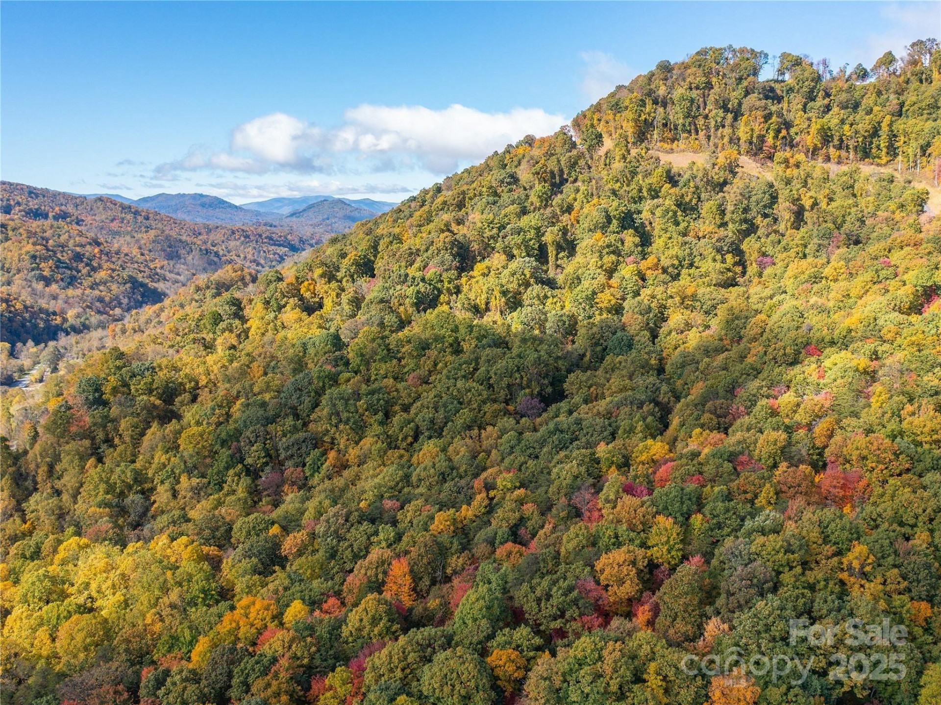 9999 Lovebird Lane #20,19,17,23 - Photo 17