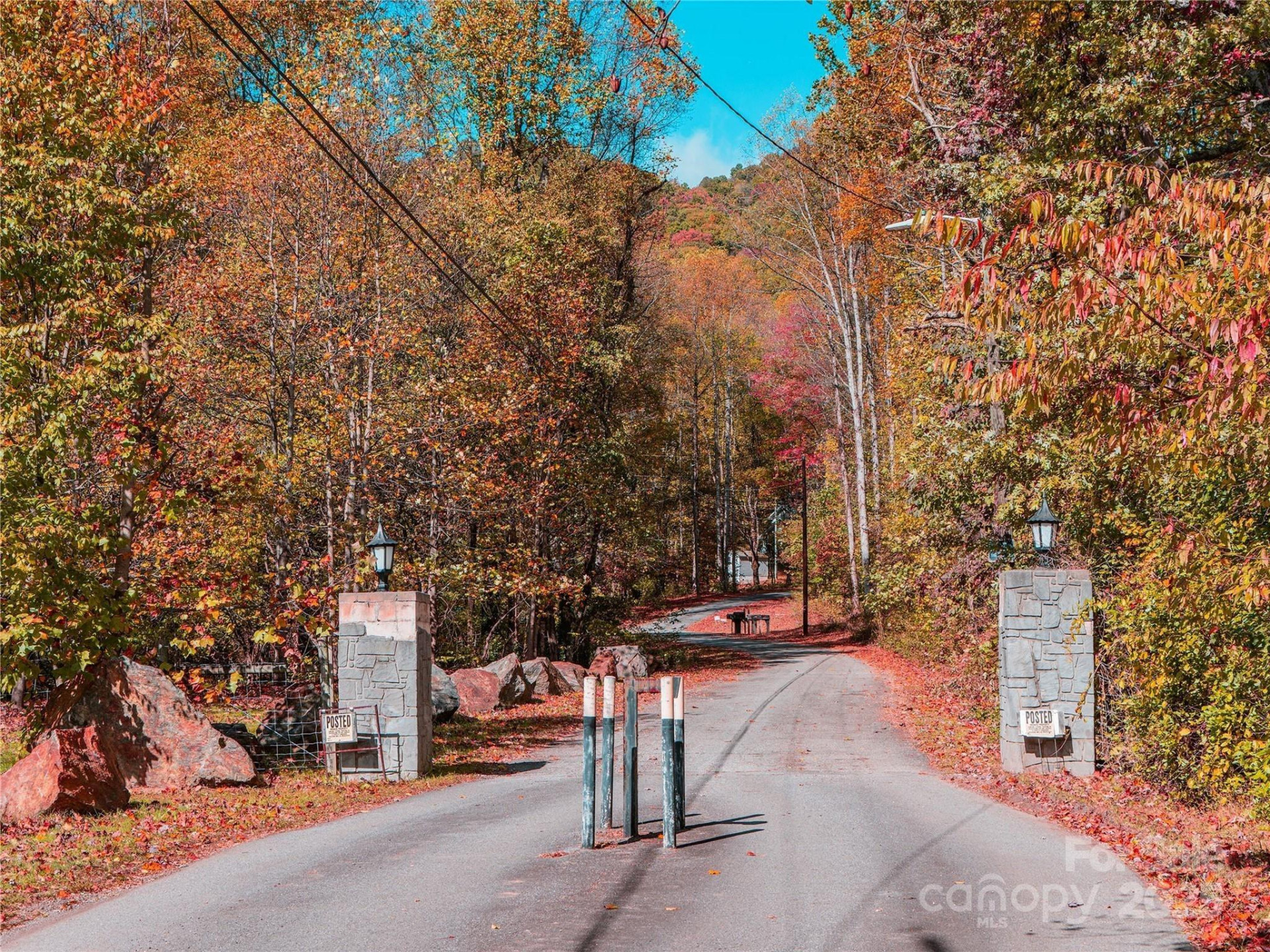 9999 Lovebird Lane #20,19,17,23 - Photo 3