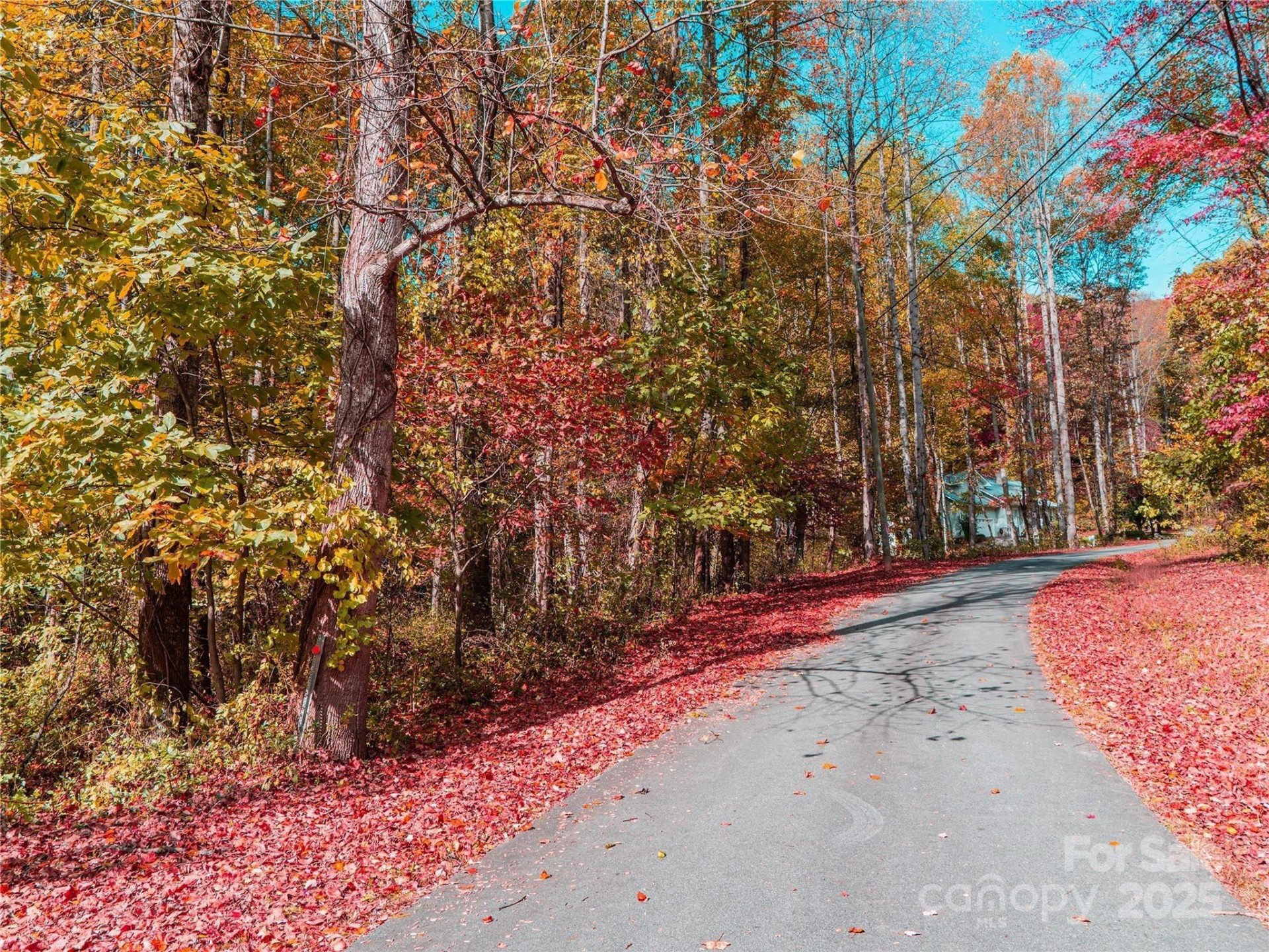 9999 Lovebird Lane #20,19,17,23 - Photo 4