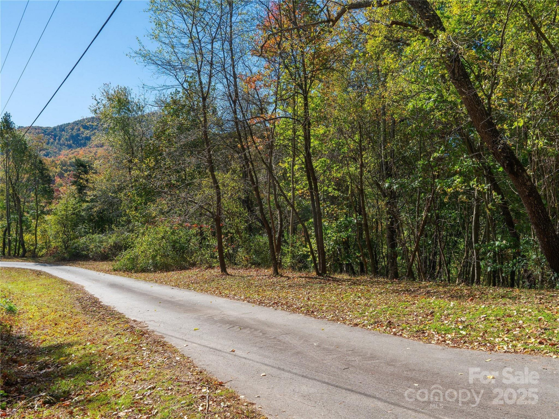 9999 Lovebird Lane #20,19,17,23 - Photo 5