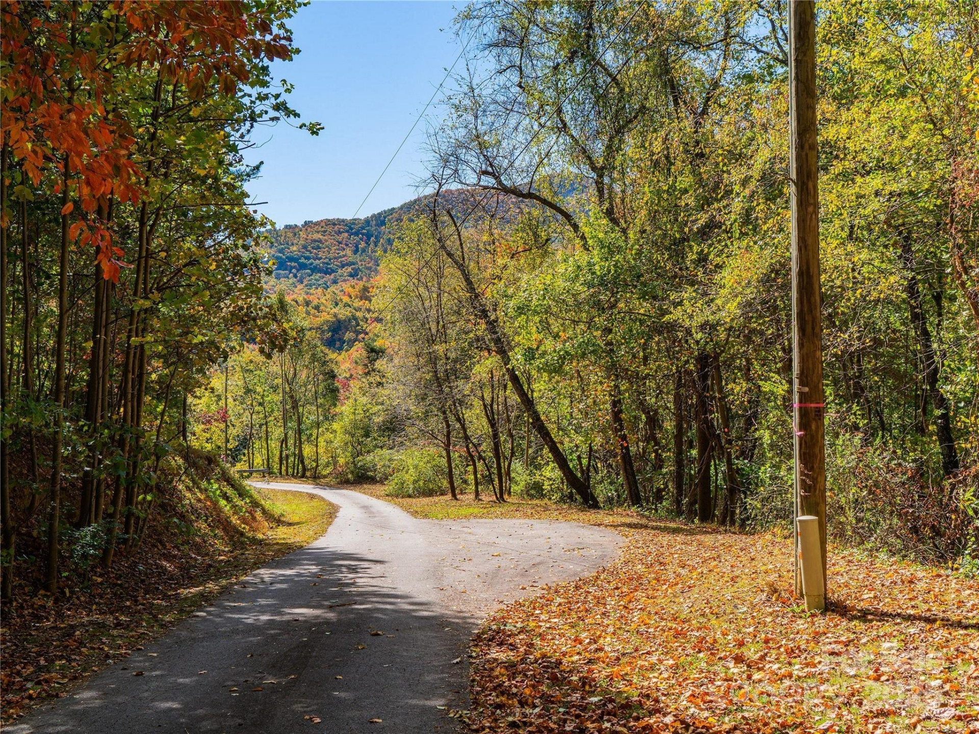 9999 Lovebird Lane #20,19,17,23 - Photo 6