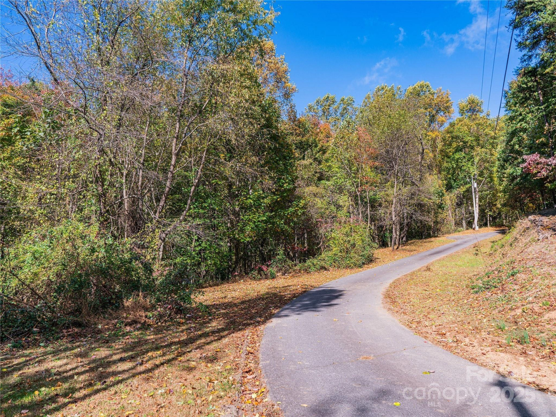 9999 Lovebird Lane #20,19,17,23 - Photo 7