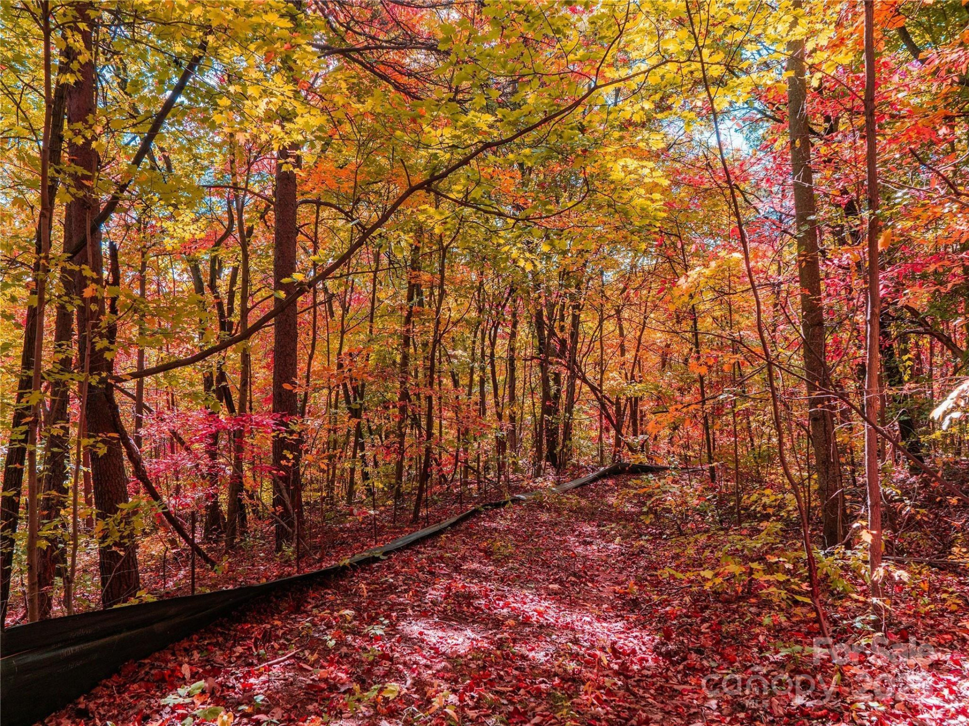 9999 Lovebird Lane #20,19,17,23 - Photo 8