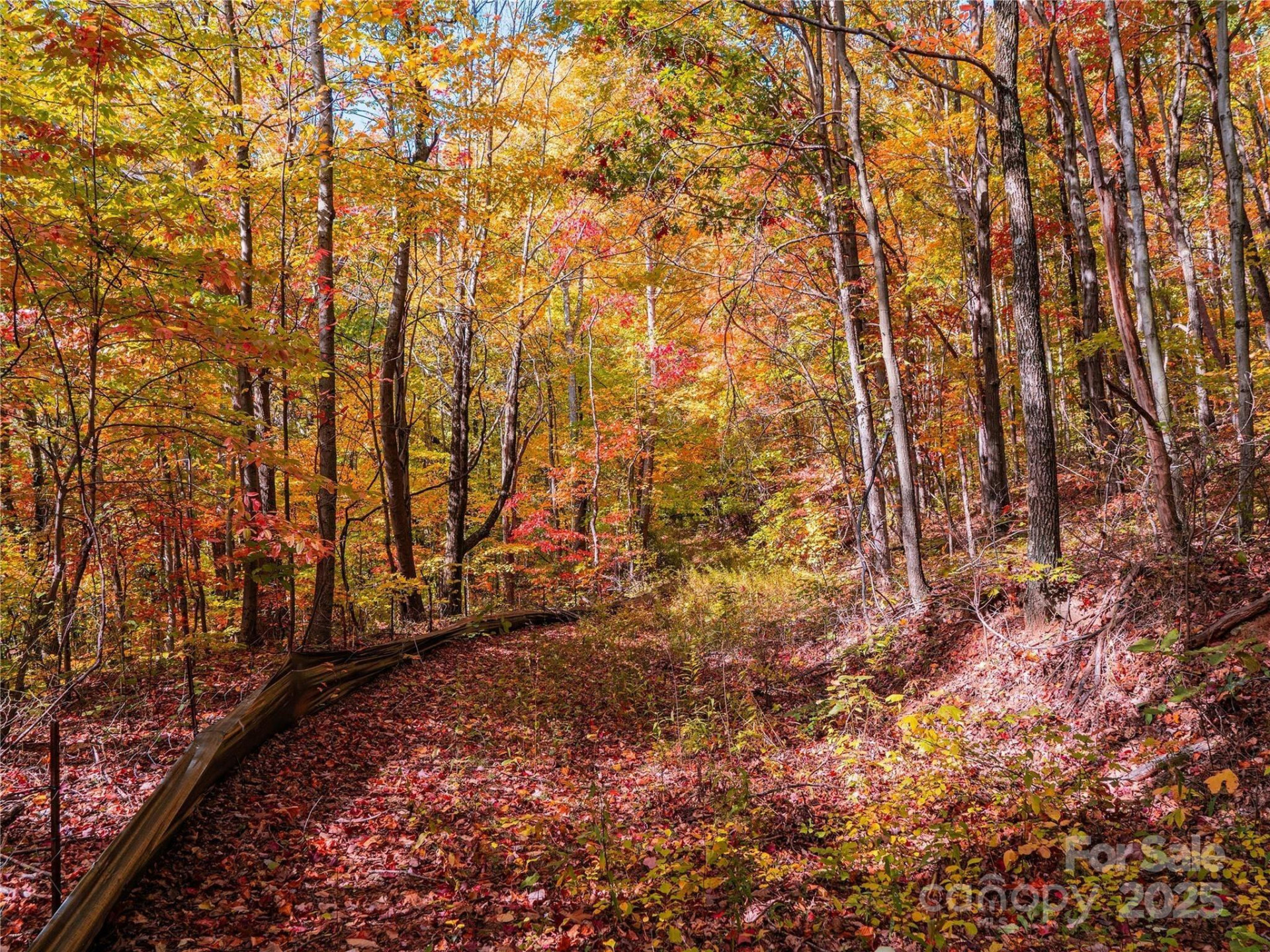 9999 Lovebird Lane #20,19,17,23 - Photo 9