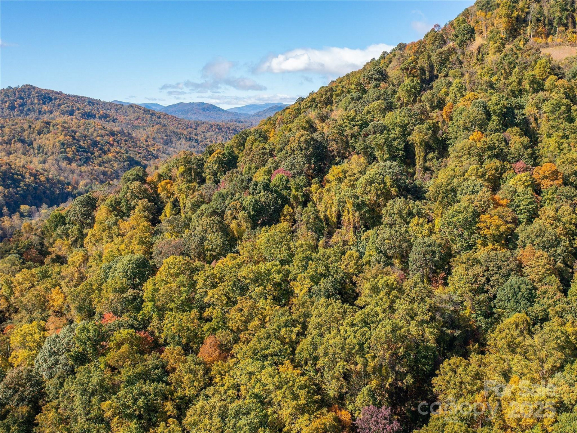 9999 Lovebird Lane #20,19,17,23 - Photo 10