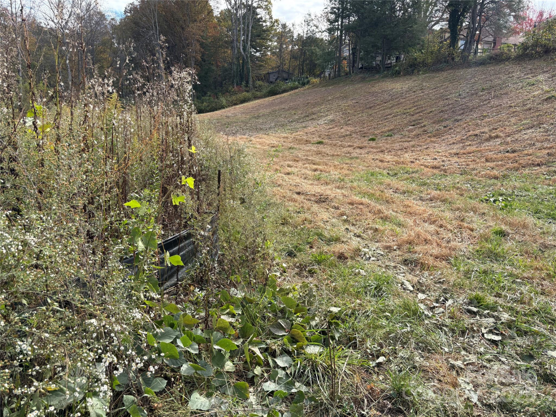 119, 123, 127 Randolph Avenue - Photo 2