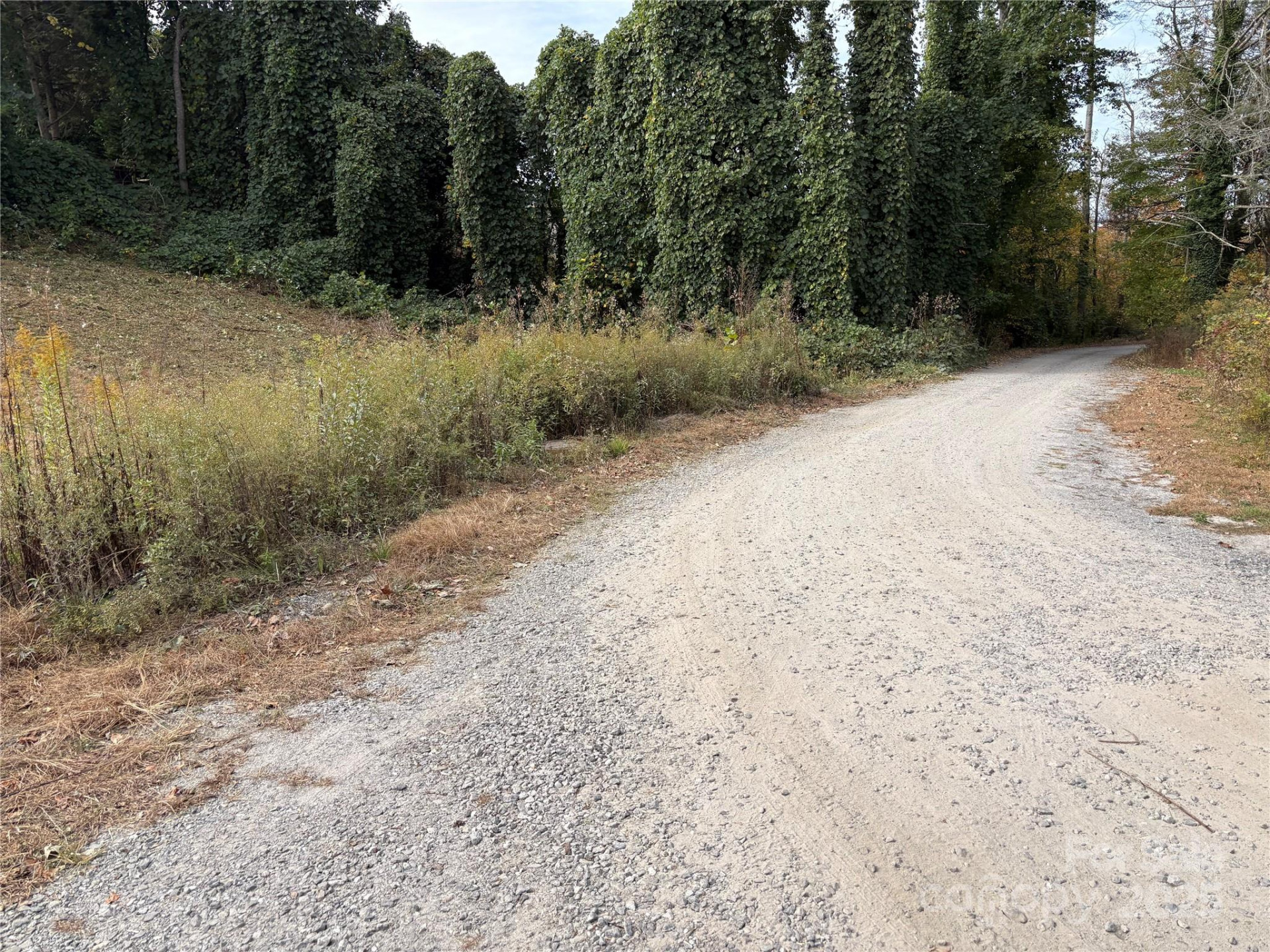 119, 123, 127 Randolph Avenue - Photo 13