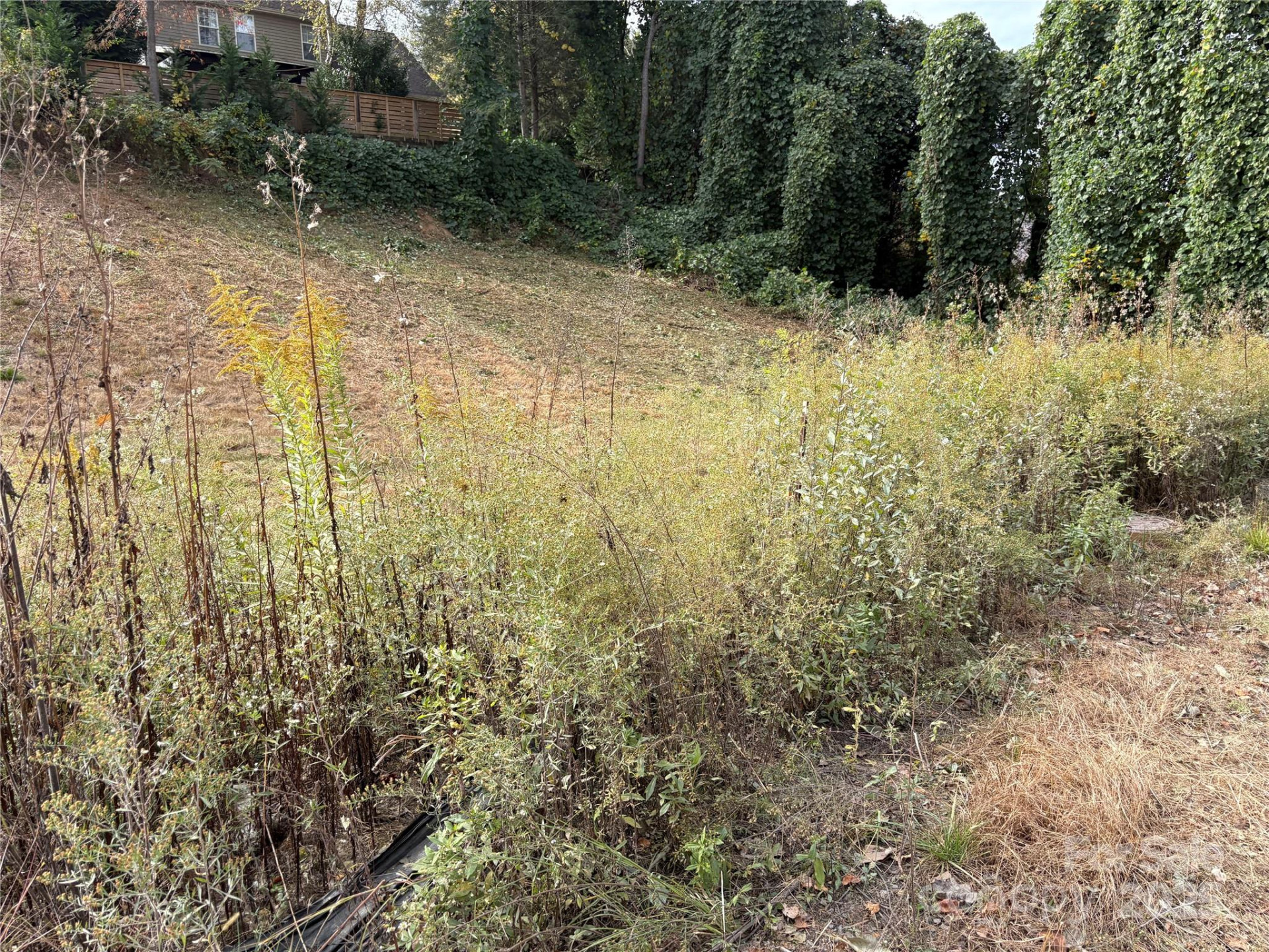 119, 123, 127 Randolph Avenue - Photo 14