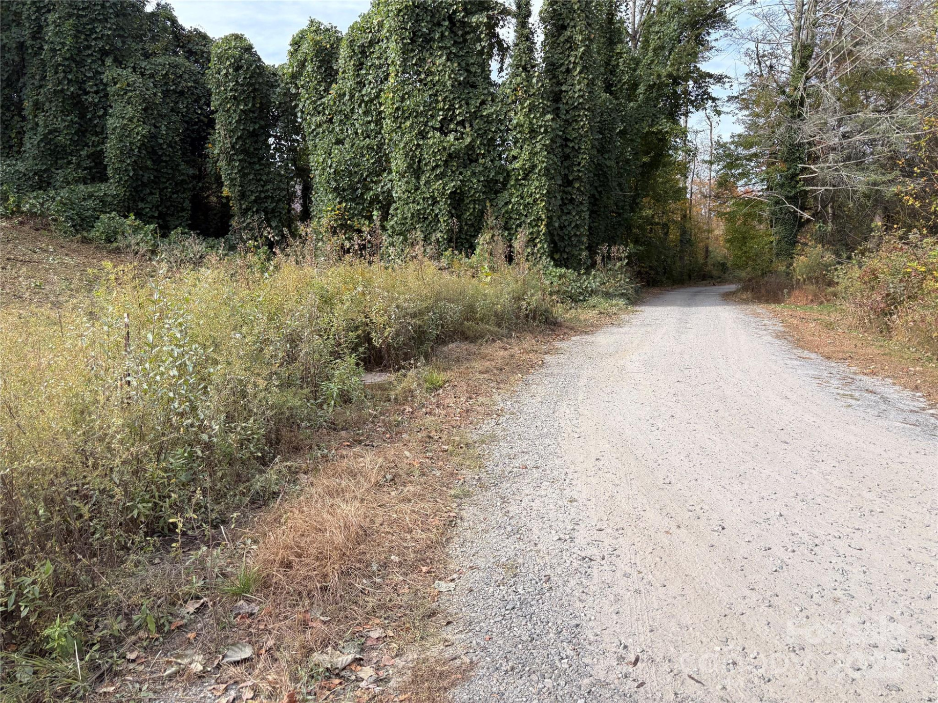 119, 123, 127 Randolph Avenue - Photo 17