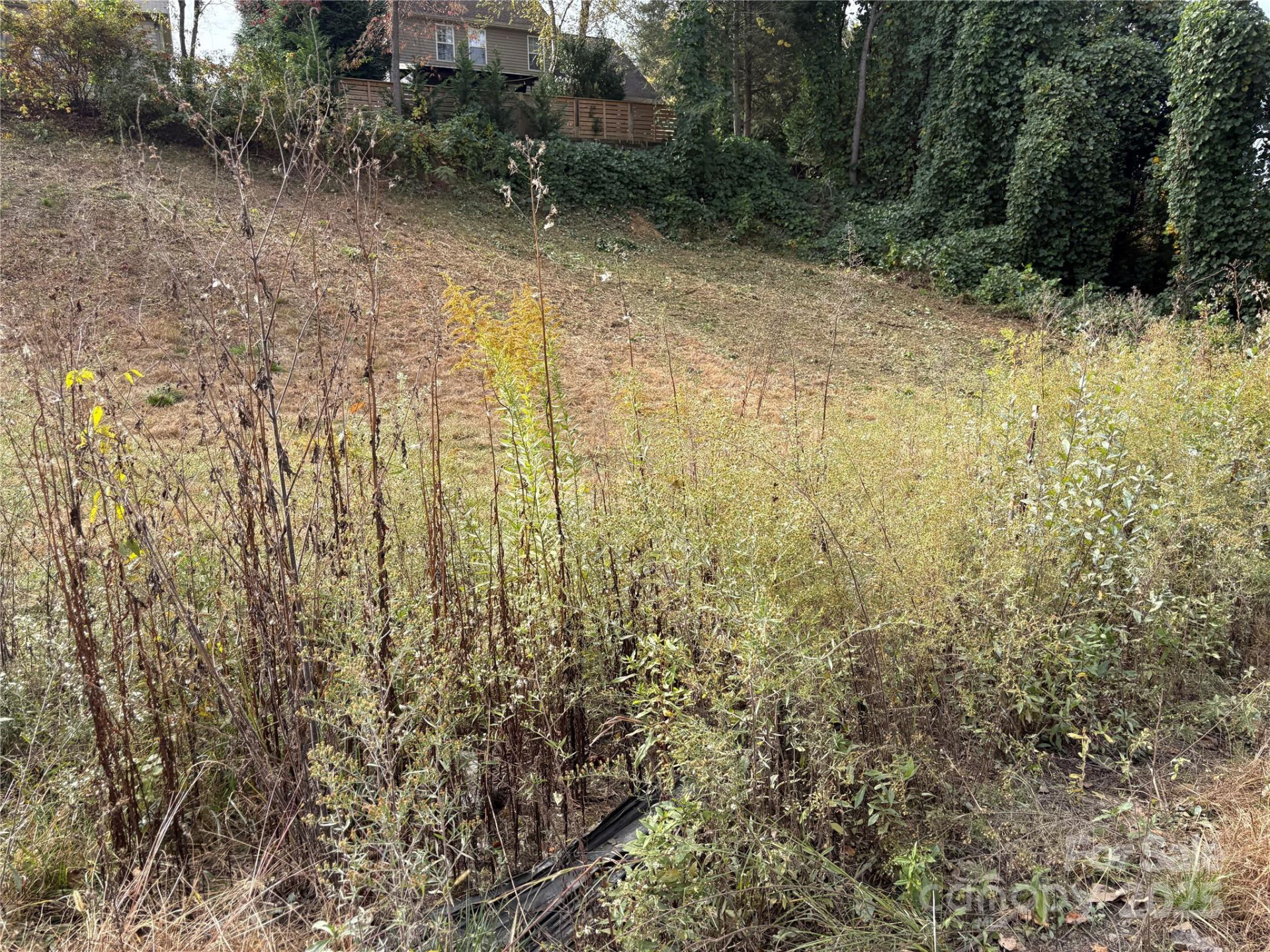 119, 123, 127 Randolph Avenue - Photo 3