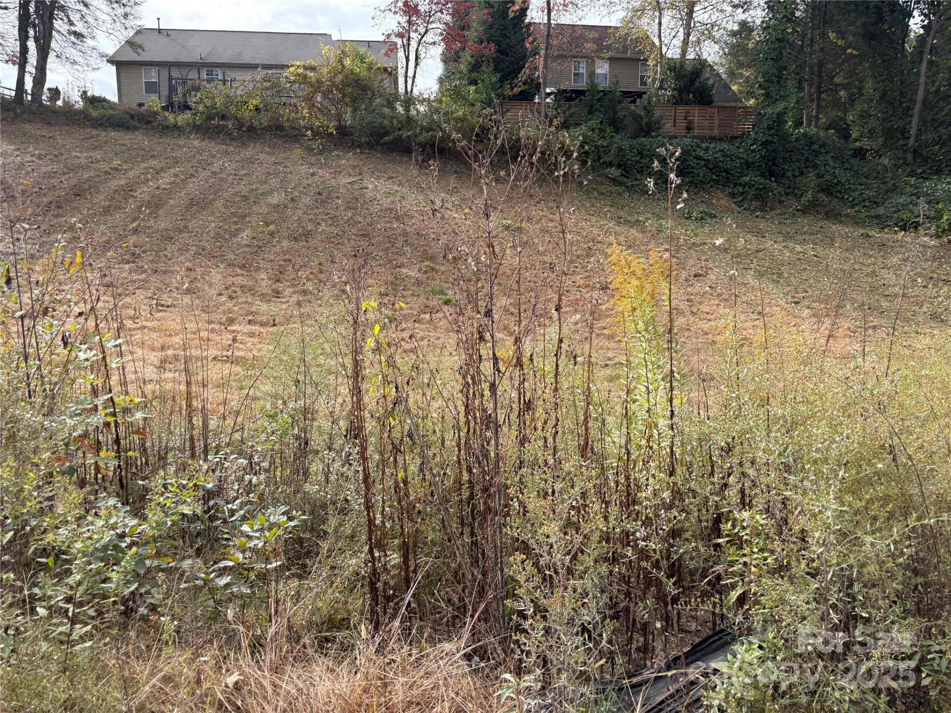 119, 123, 127 Randolph Avenue - Photo 4