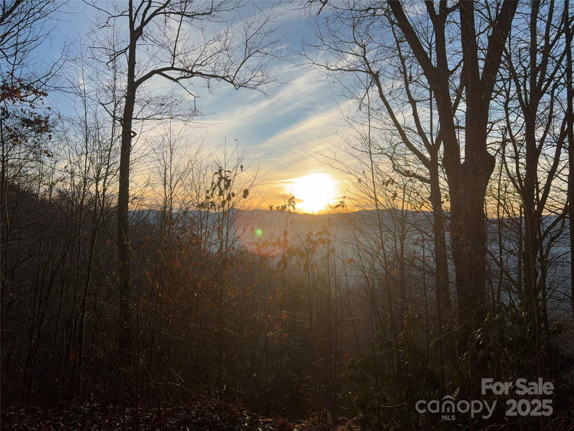 899 Hyacinth Drive - Photo 2