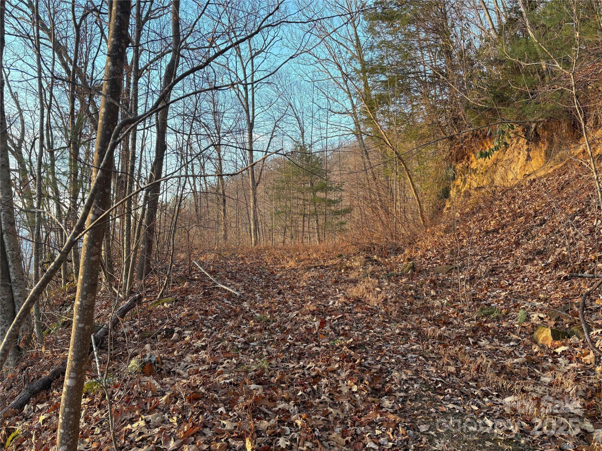 899 Hyacinth Drive - Photo 11