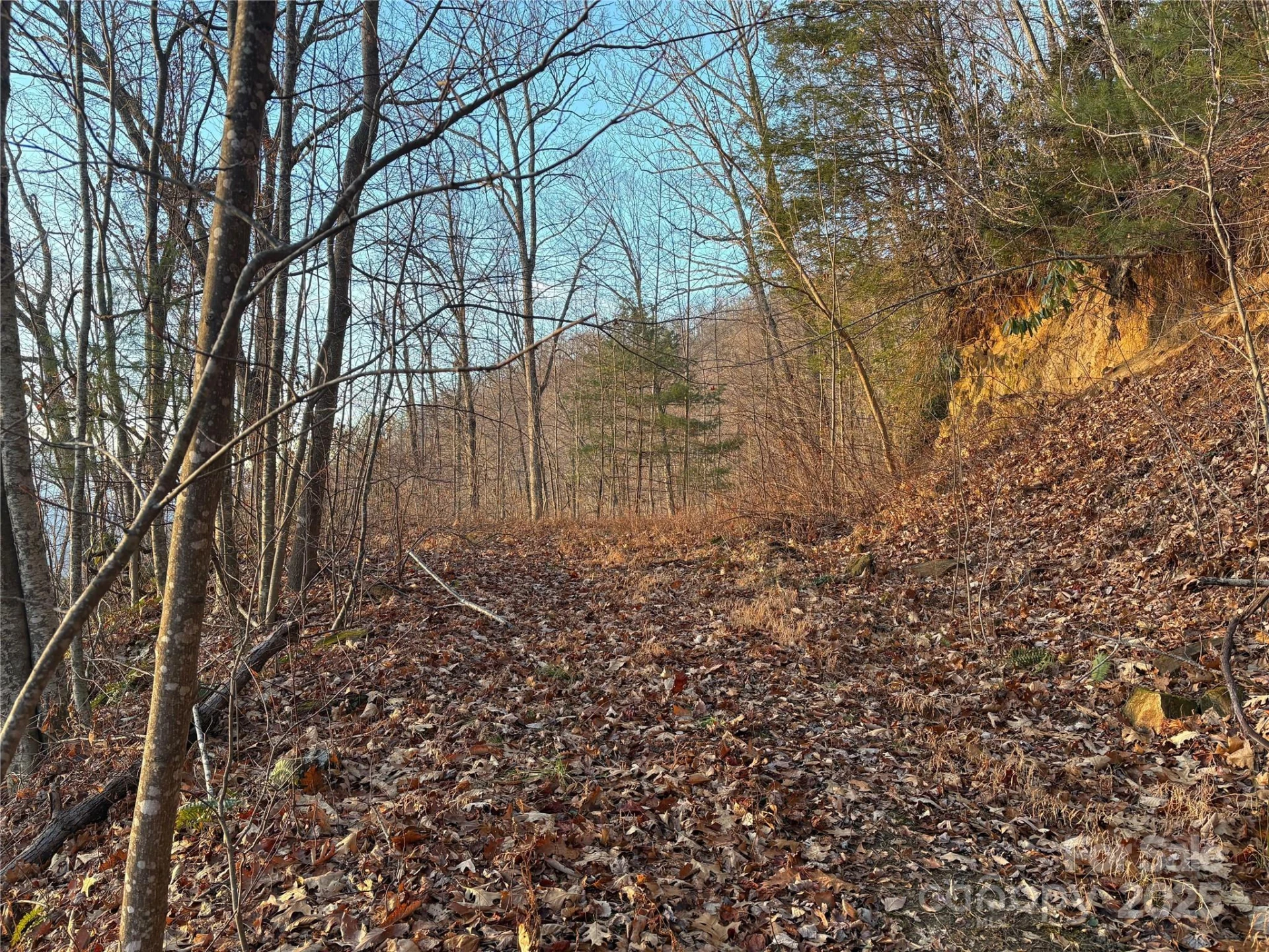 899 Hyacinth Drive - Photo 11