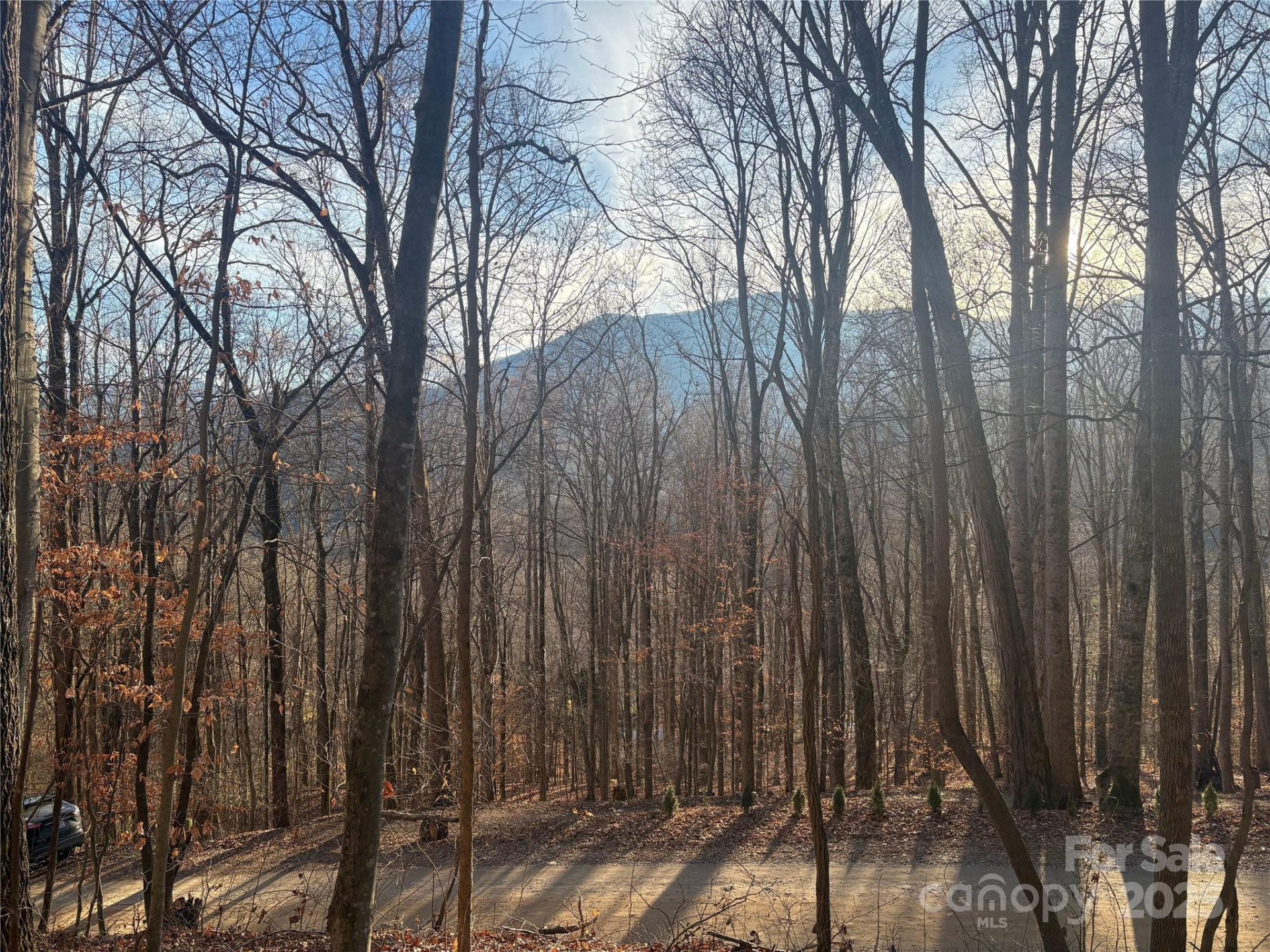 899 Hyacinth Drive - Photo 12