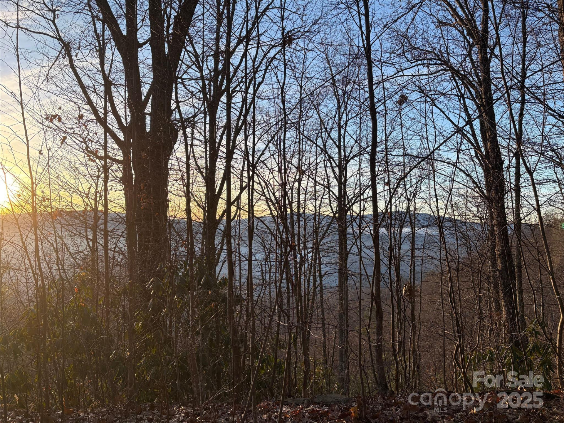 899 Hyacinth Drive - Photo 13