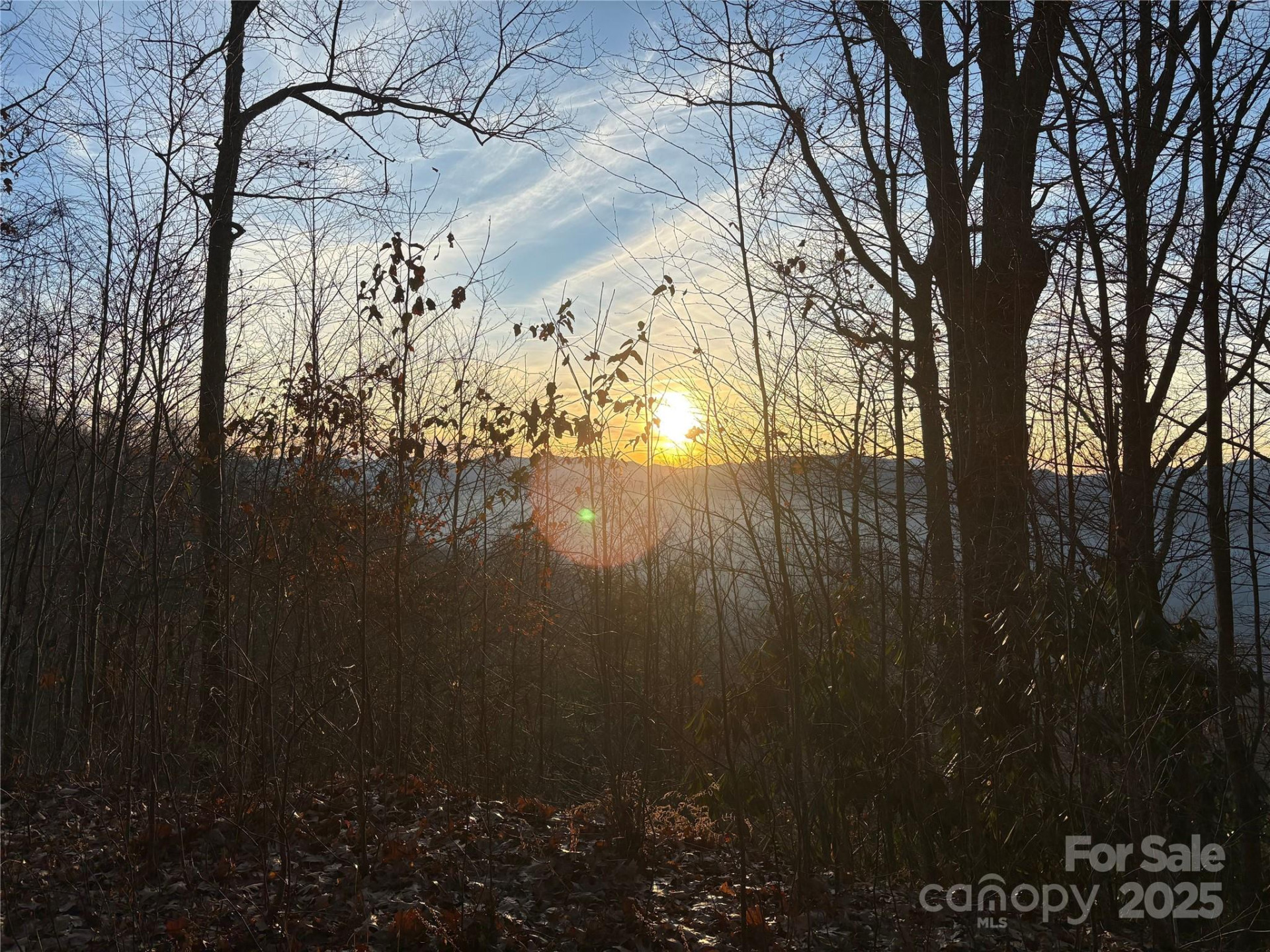 899 Hyacinth Drive - Photo 14