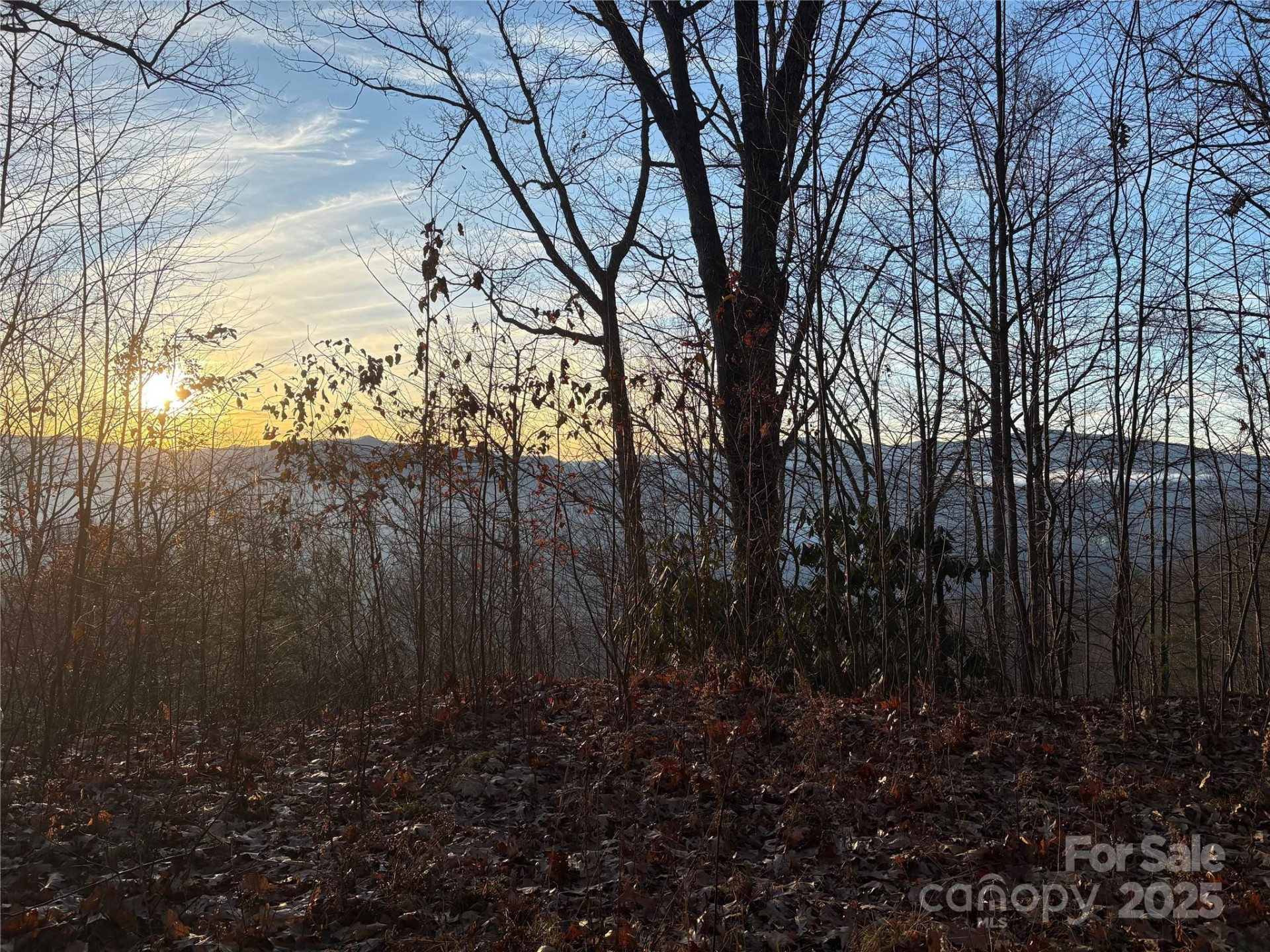 899 Hyacinth Drive - Photo 15