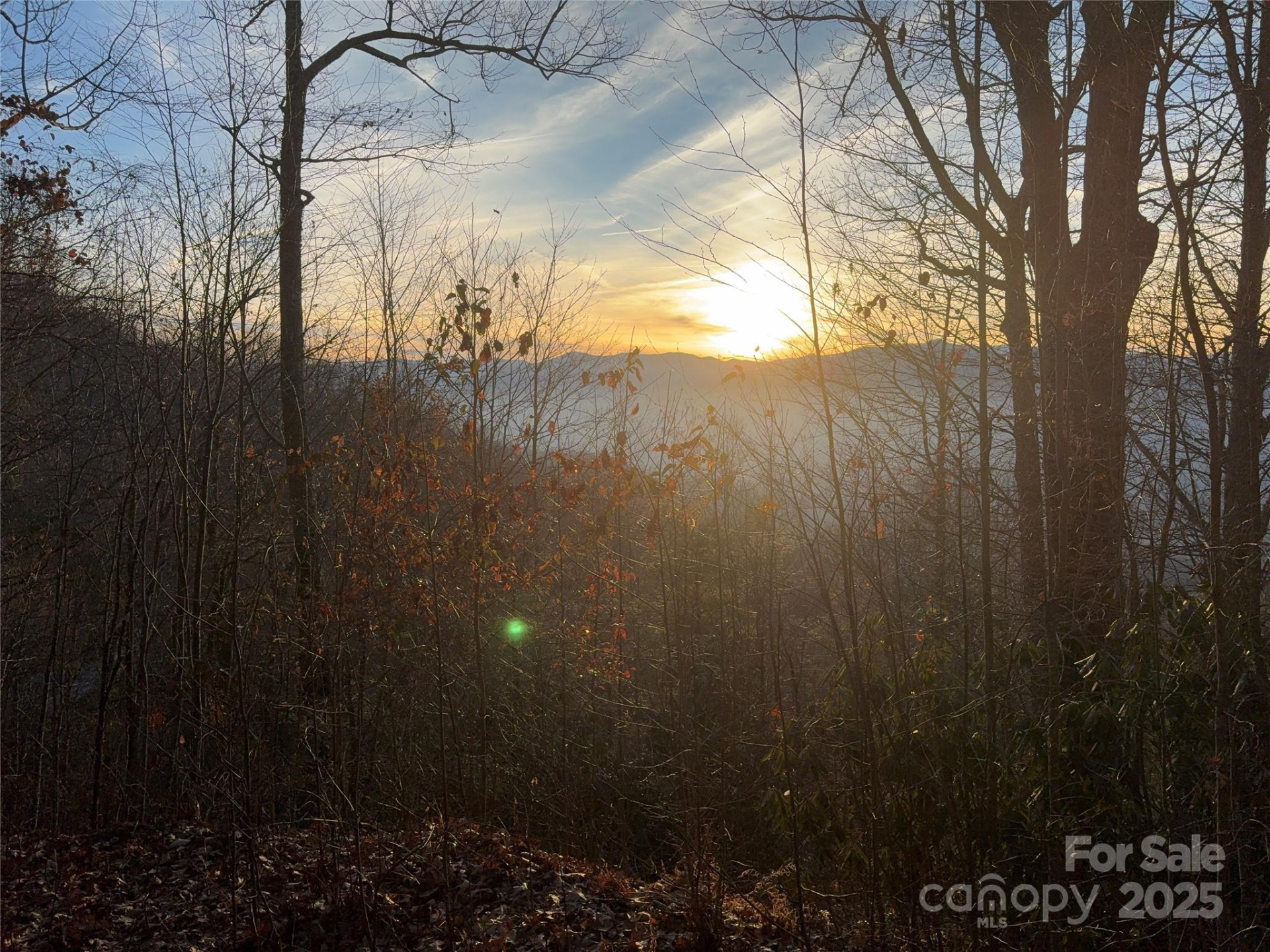 899 Hyacinth Drive - Photo 16