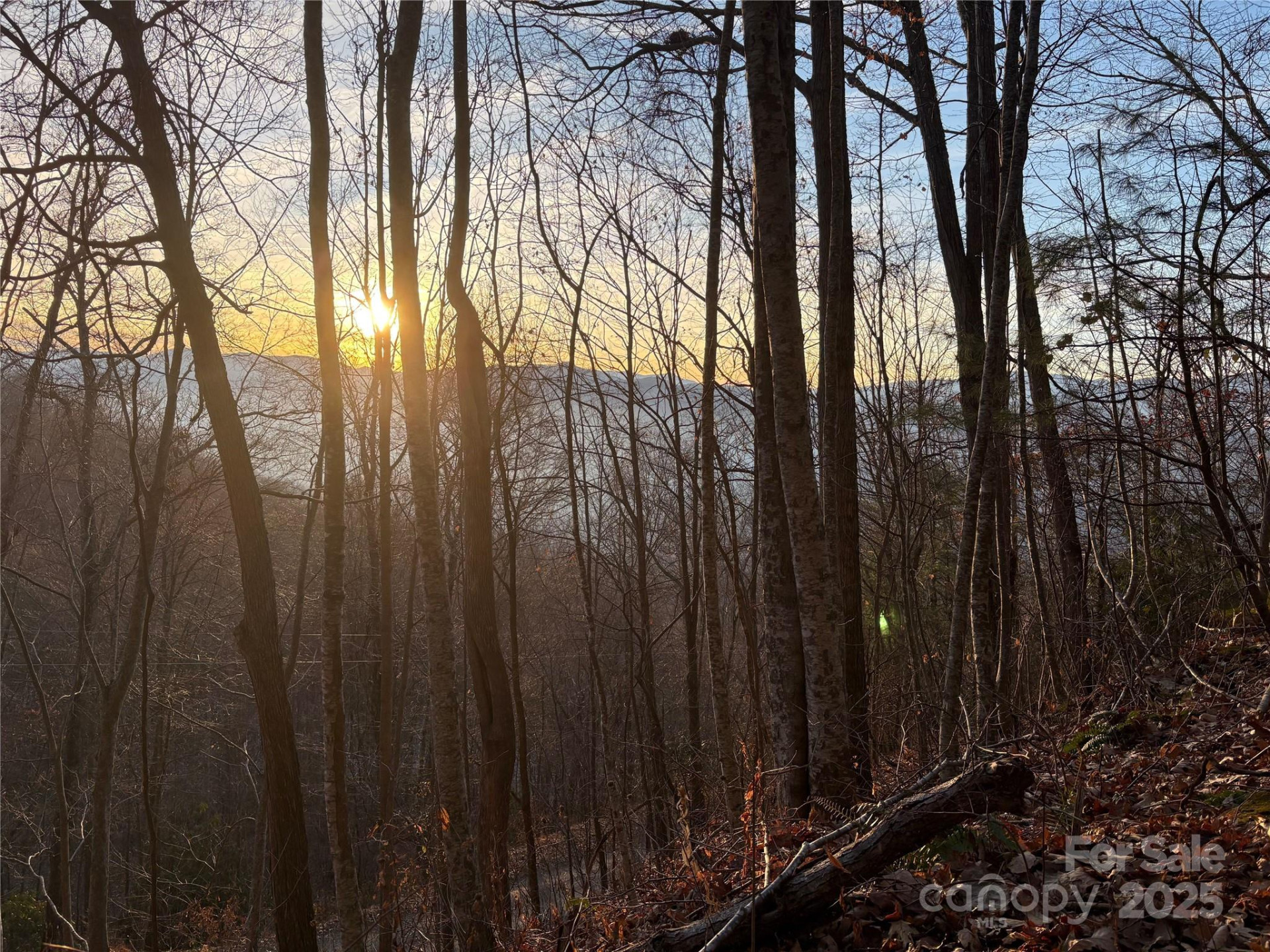 899 Hyacinth Drive - Photo 18