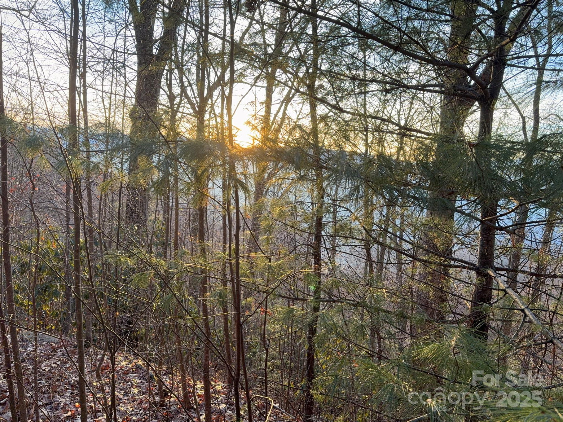 899 Hyacinth Drive - Photo 19