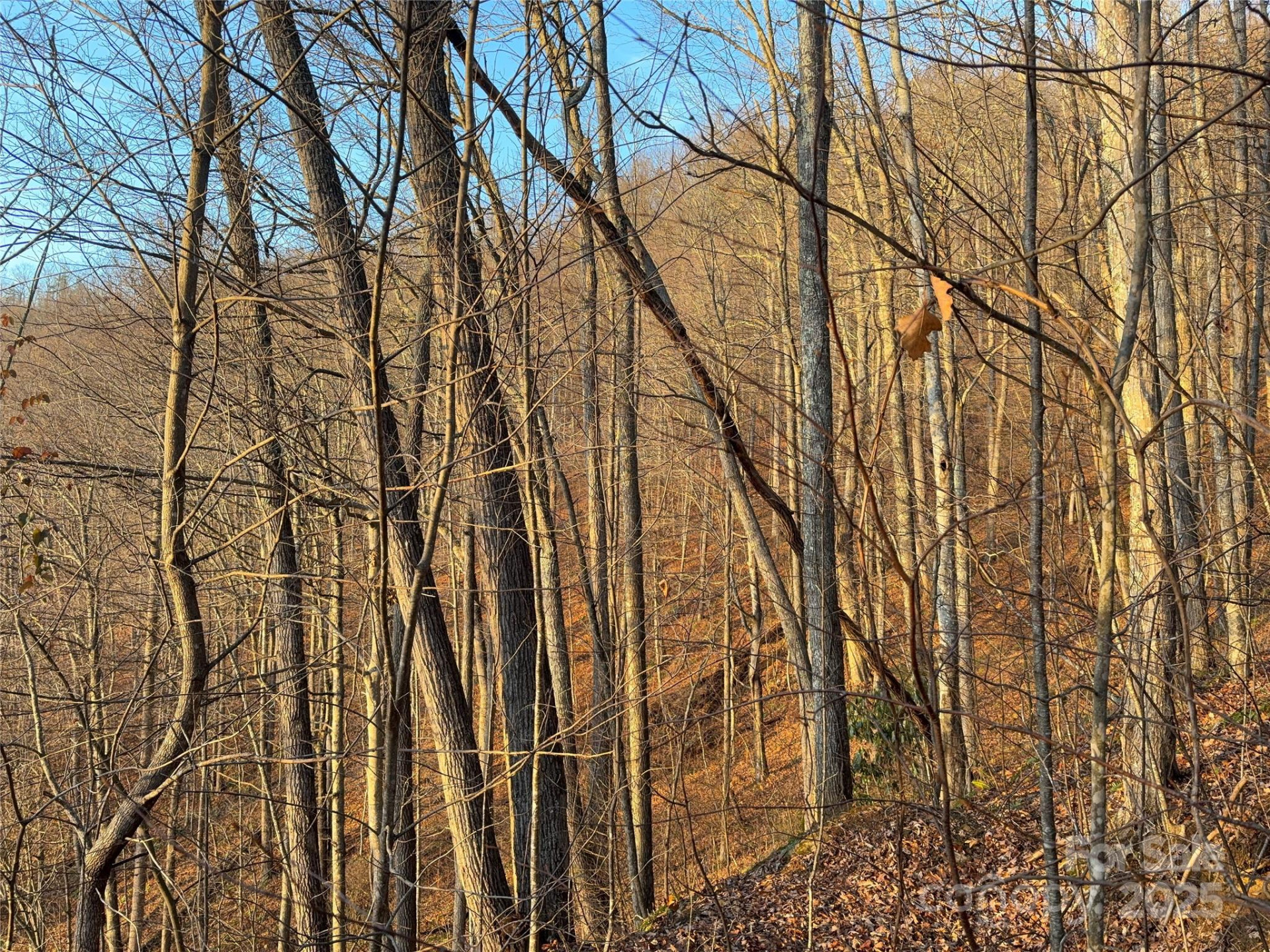 899 Hyacinth Drive - Photo 20