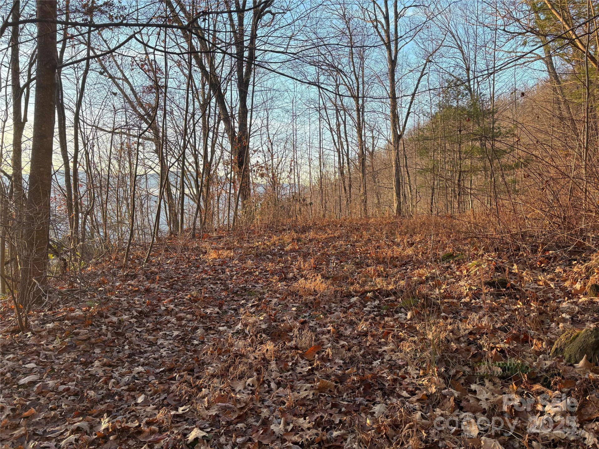 899 Hyacinth Drive - Photo 3