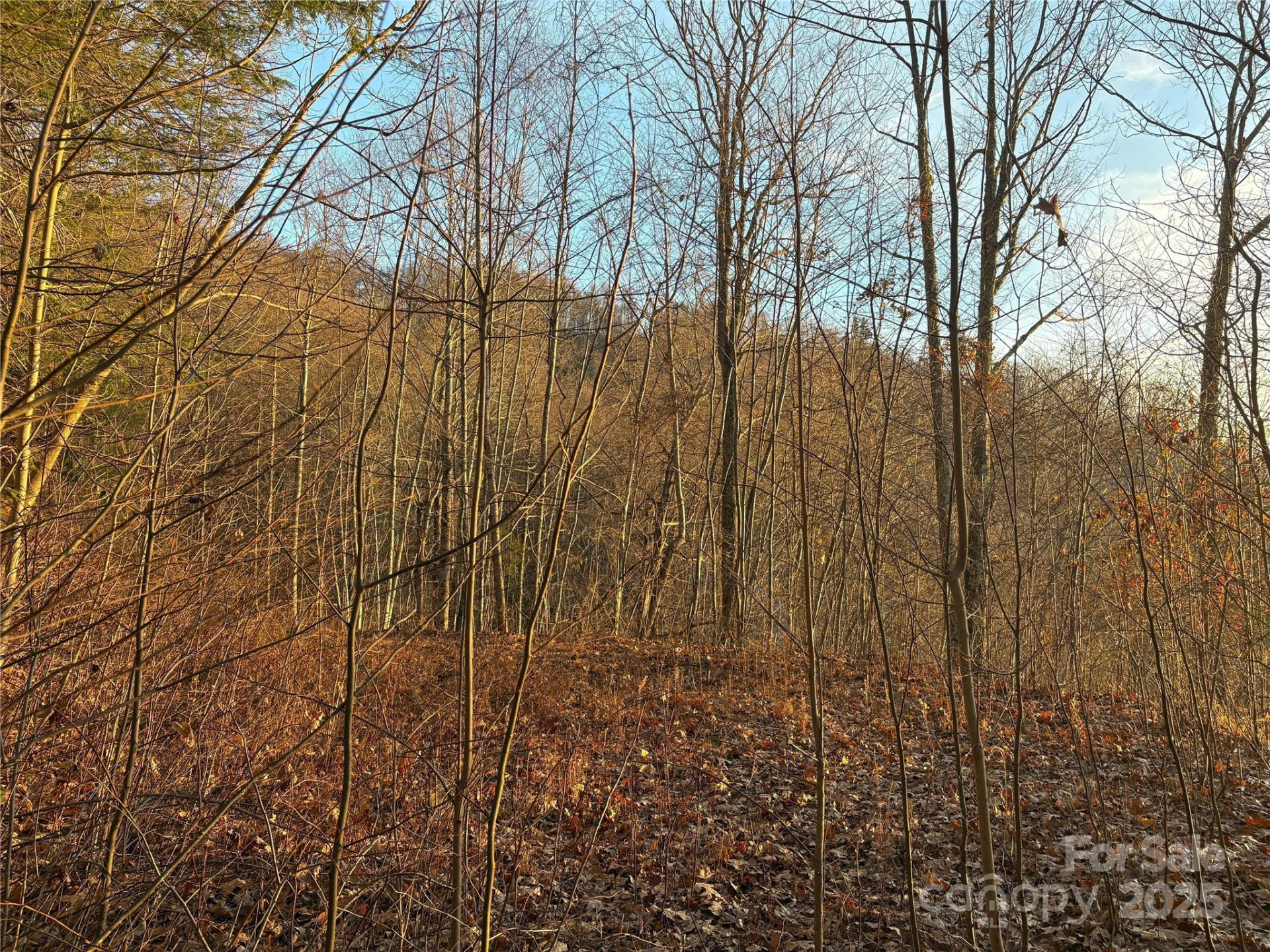 899 Hyacinth Drive - Photo 22