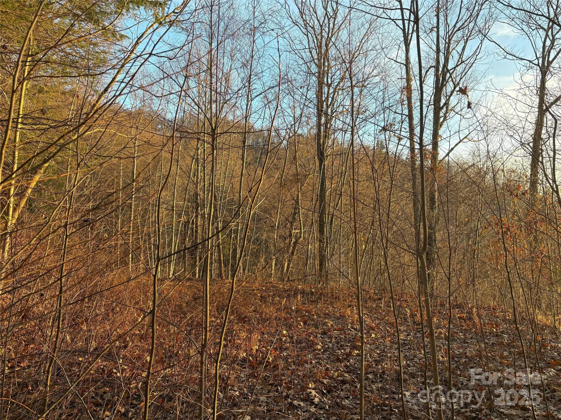 899 Hyacinth Drive - Photo 22