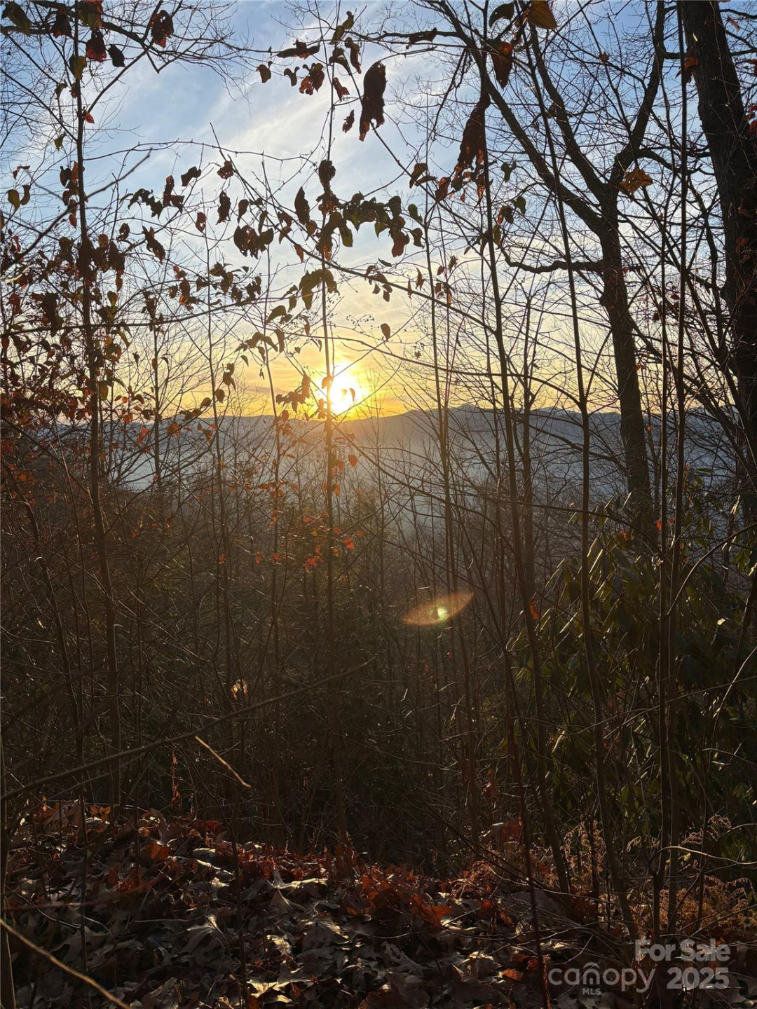 899 Hyacinth Drive - Photo 23