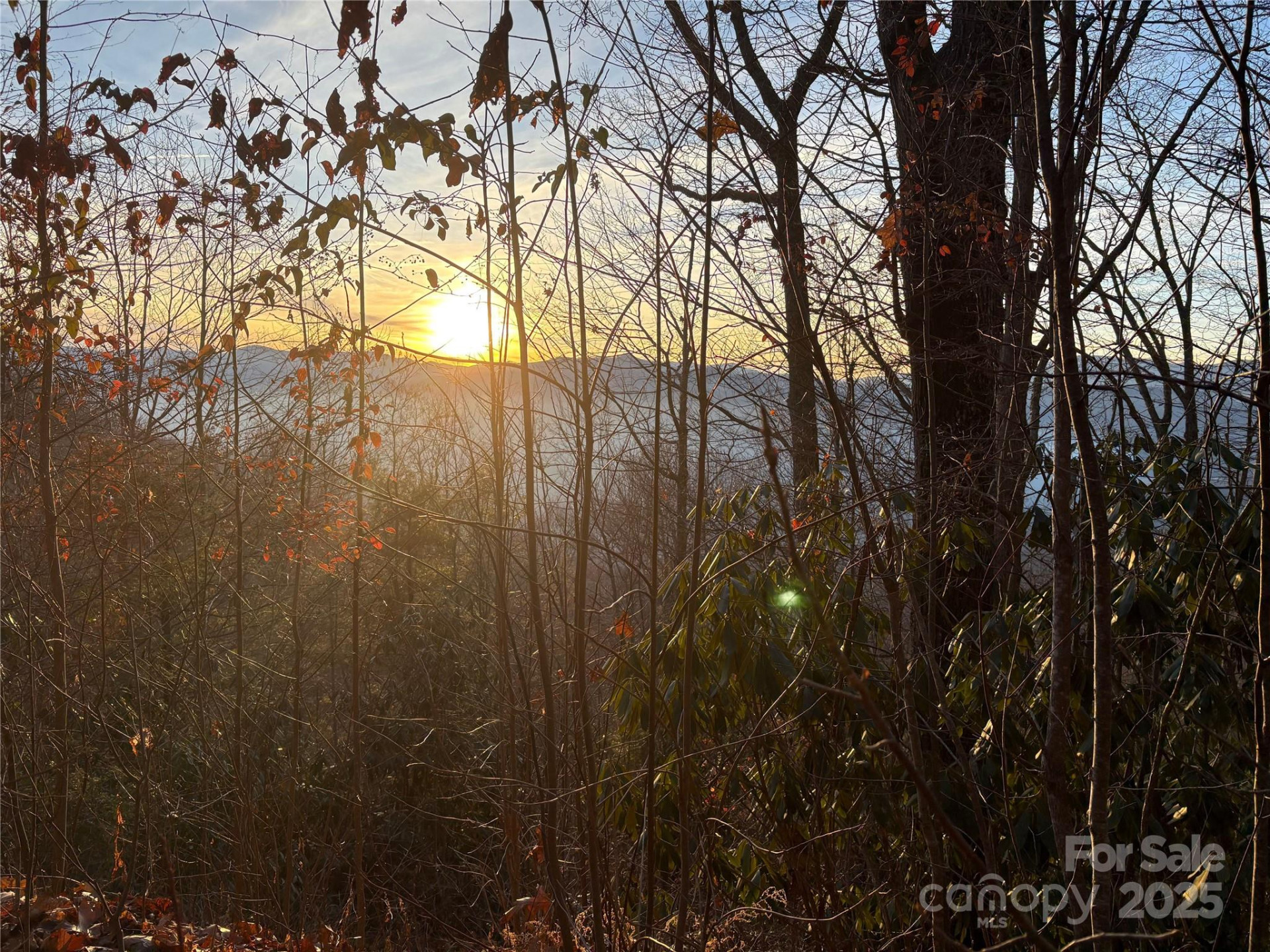 899 Hyacinth Drive - Photo 24