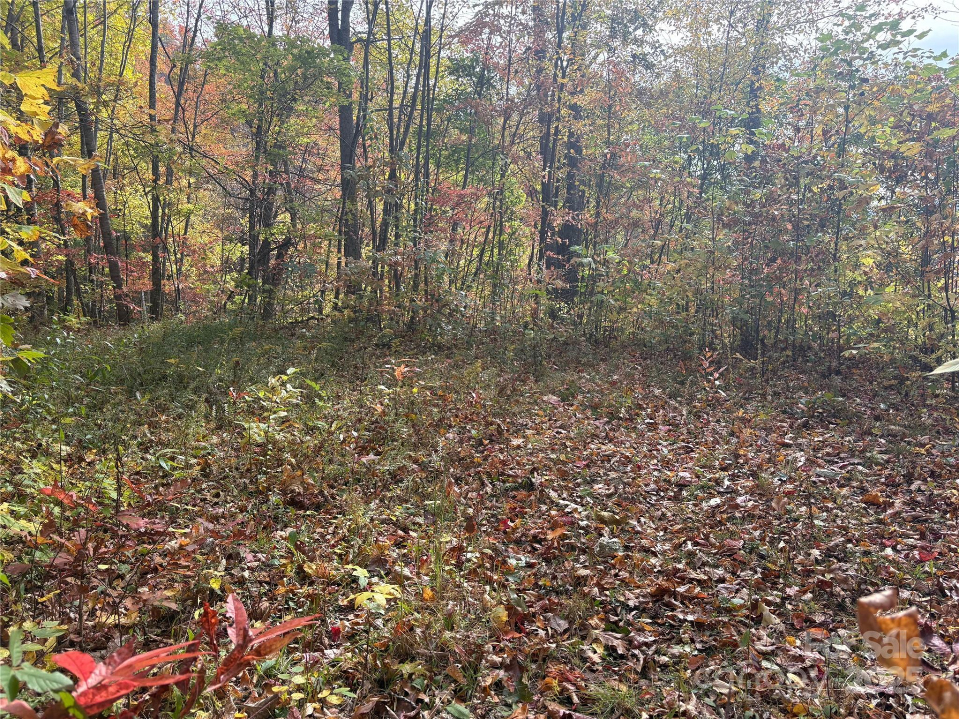 899 Hyacinth Drive - Photo 26