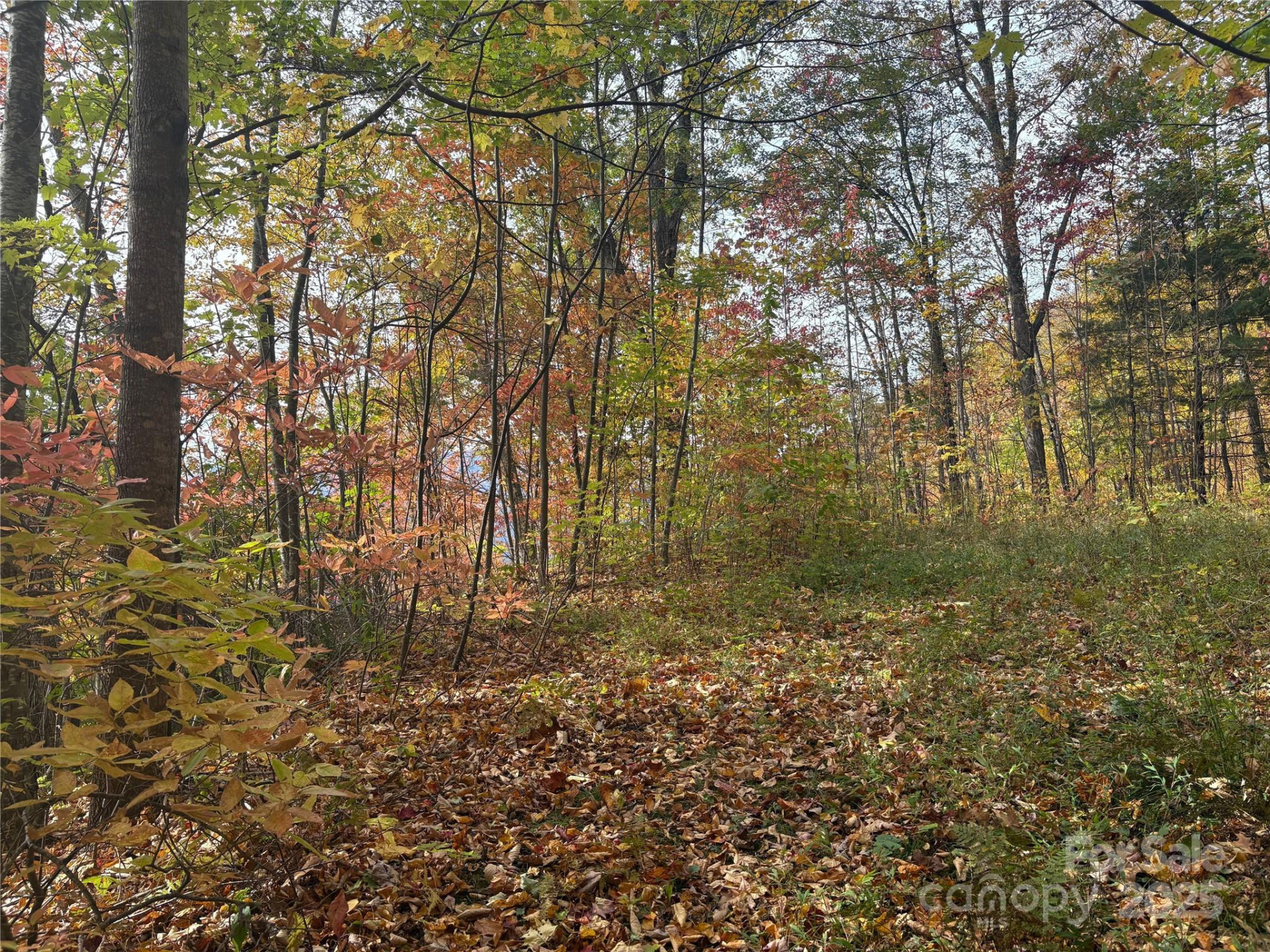 899 Hyacinth Drive - Photo 27