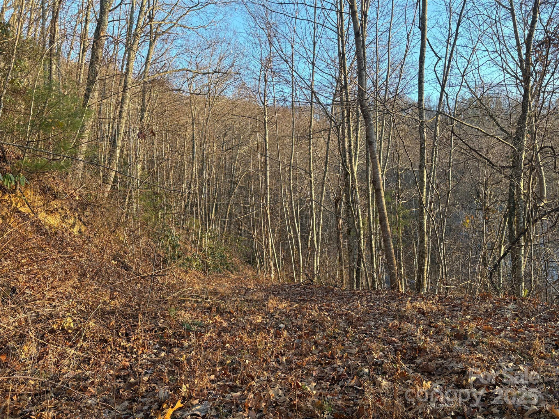 899 Hyacinth Drive - Photo 4