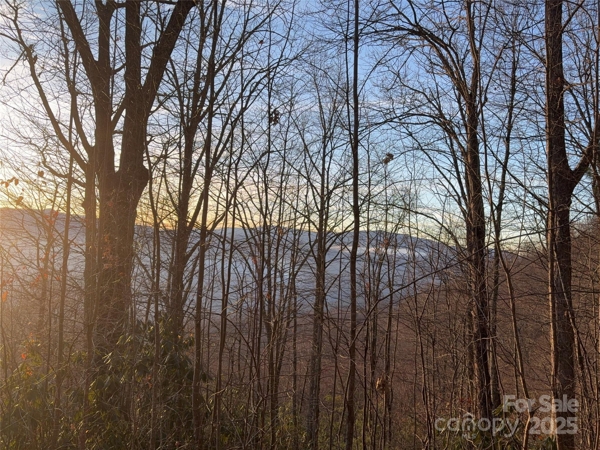 899 Hyacinth Drive - Photo 6