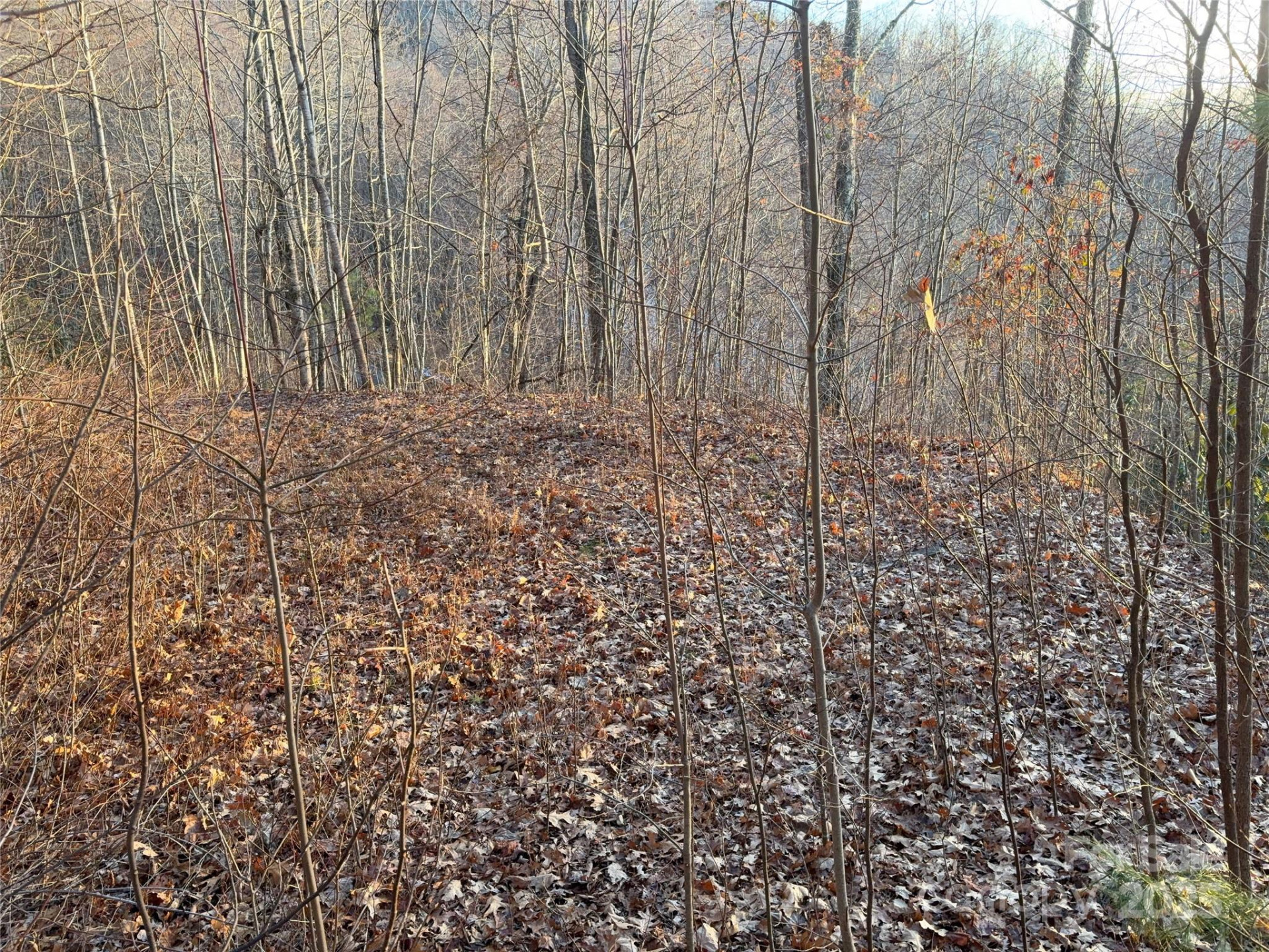 899 Hyacinth Drive - Photo 7