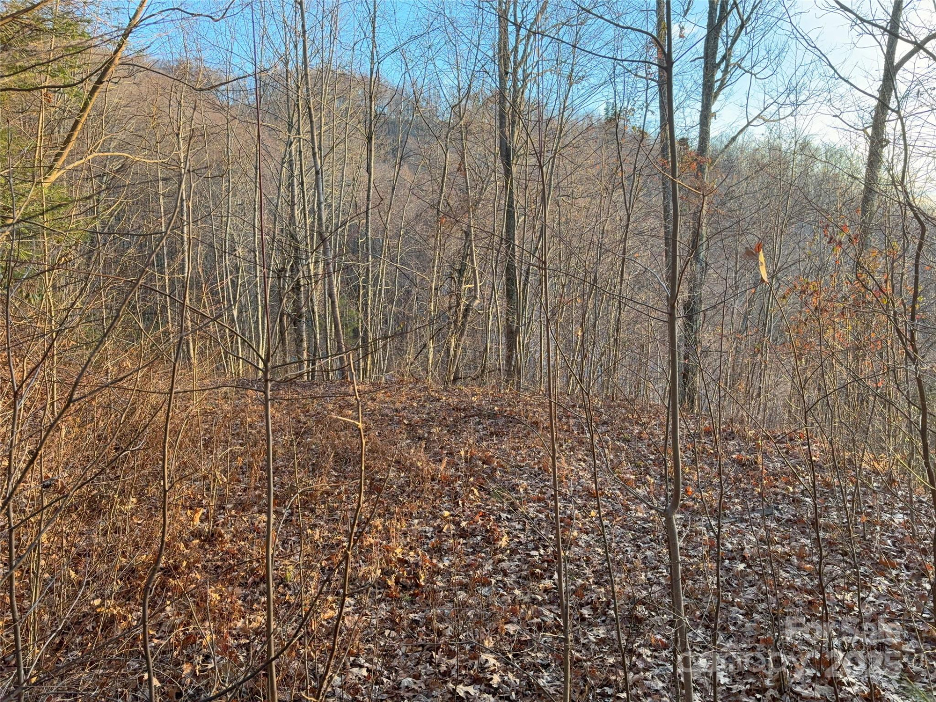 899 Hyacinth Drive - Photo 8