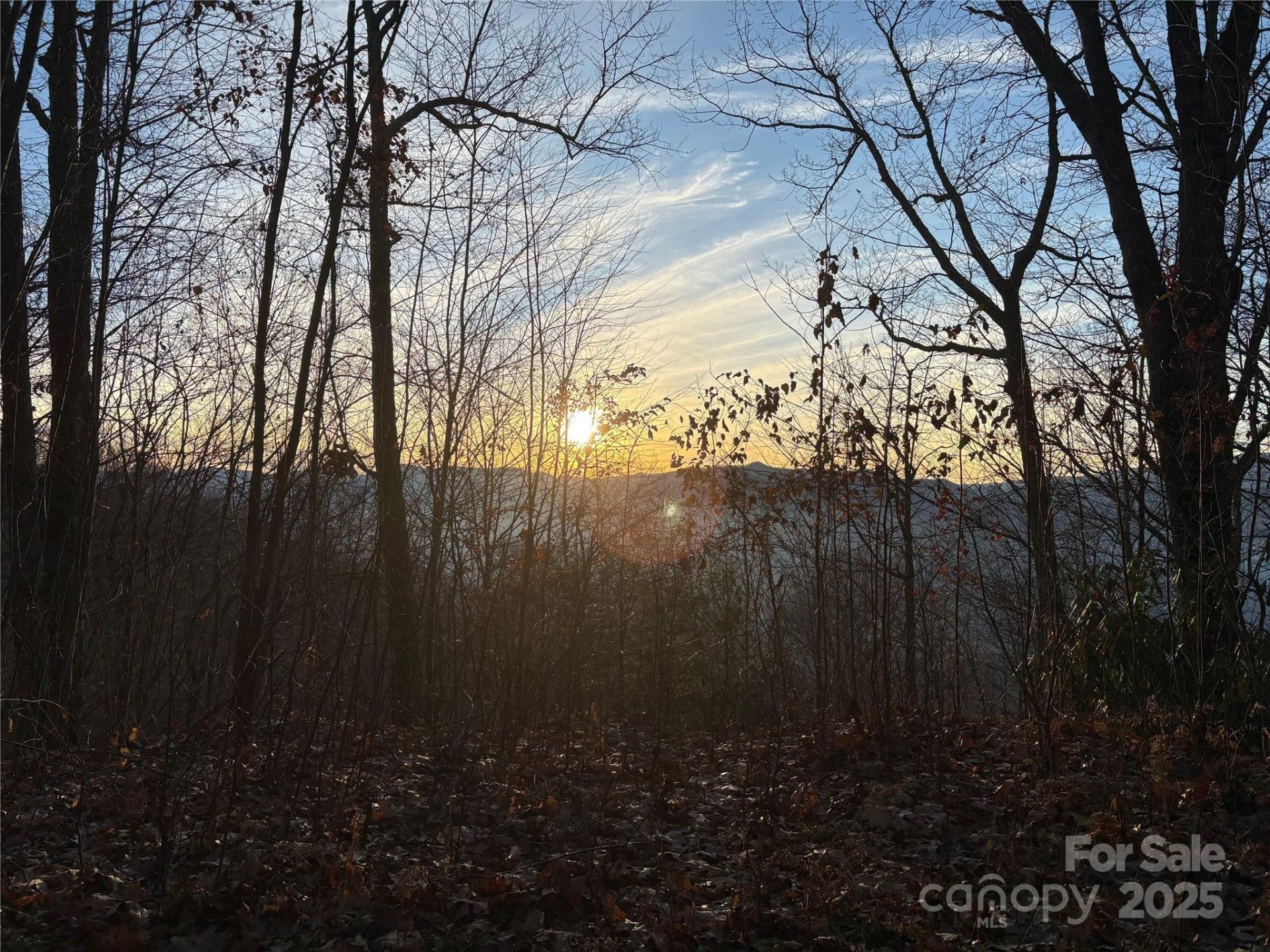 899 Hyacinth Drive - Photo 9