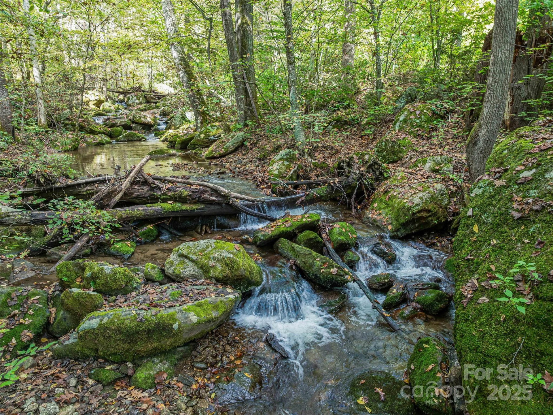 945 Roaring Fork Road - Photo 3