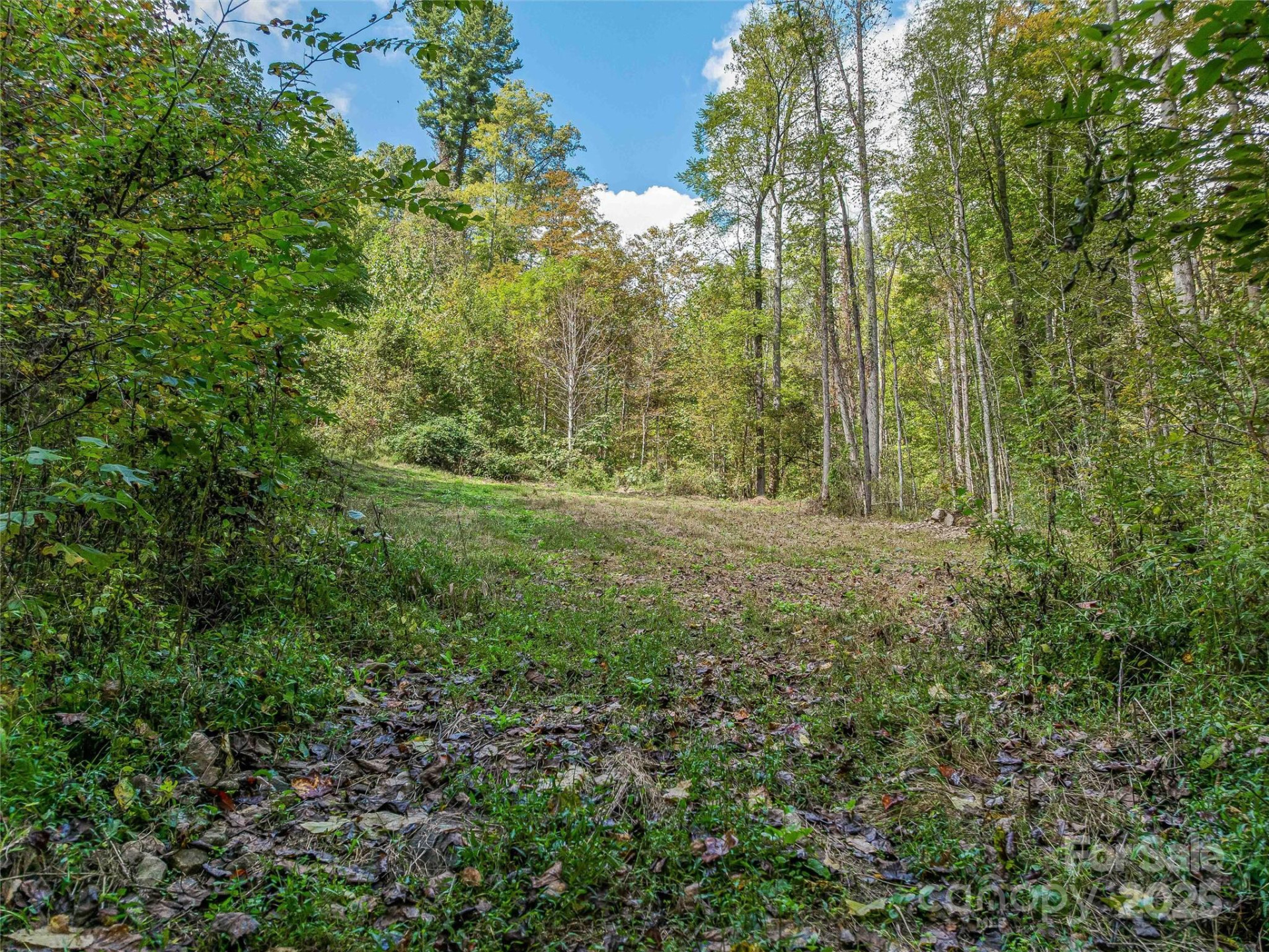 945 Roaring Fork Road - Photo 43