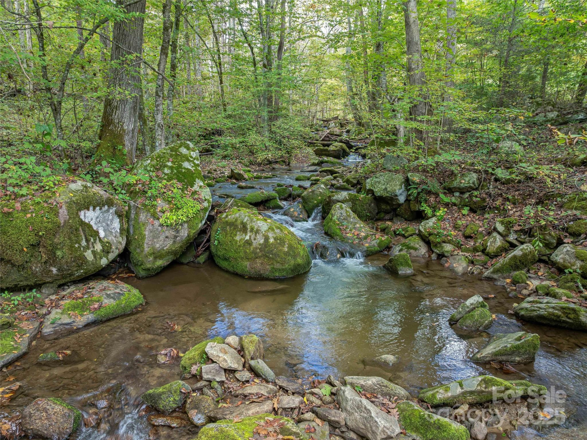 945 Roaring Fork Road - Photo 44