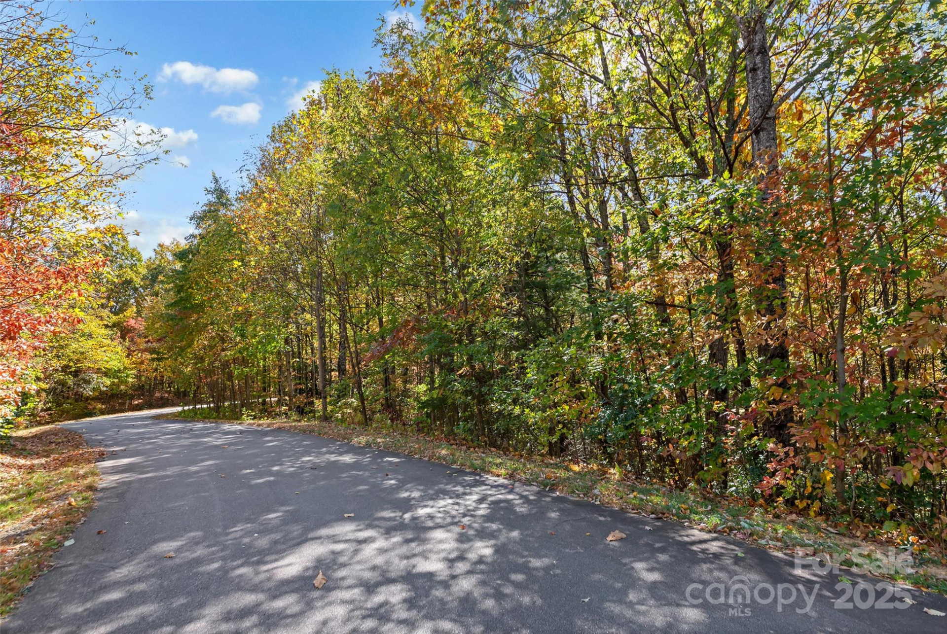 38 Attica Falls Trail - Photo 11