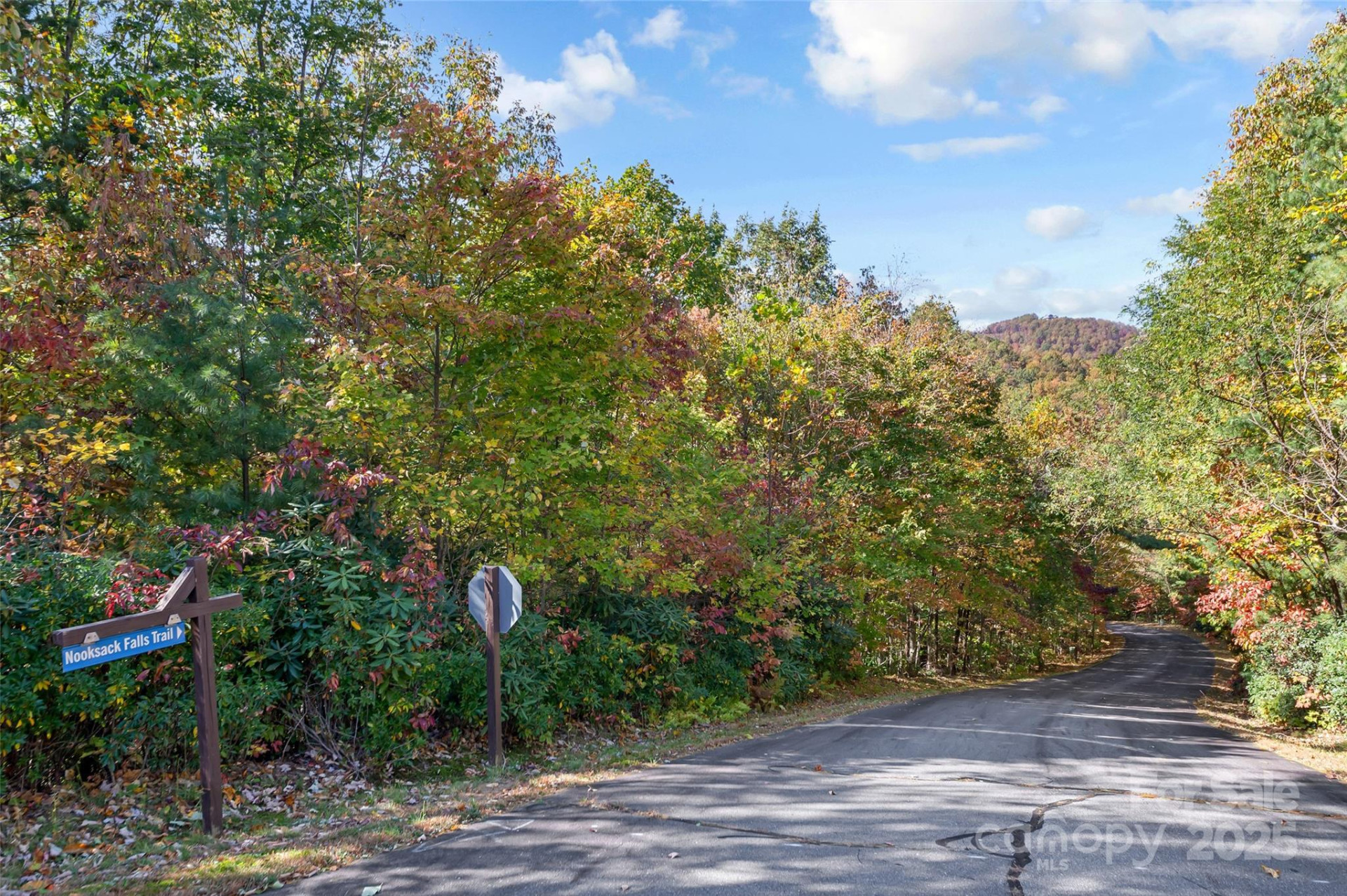 38 Attica Falls Trail - Photo 12