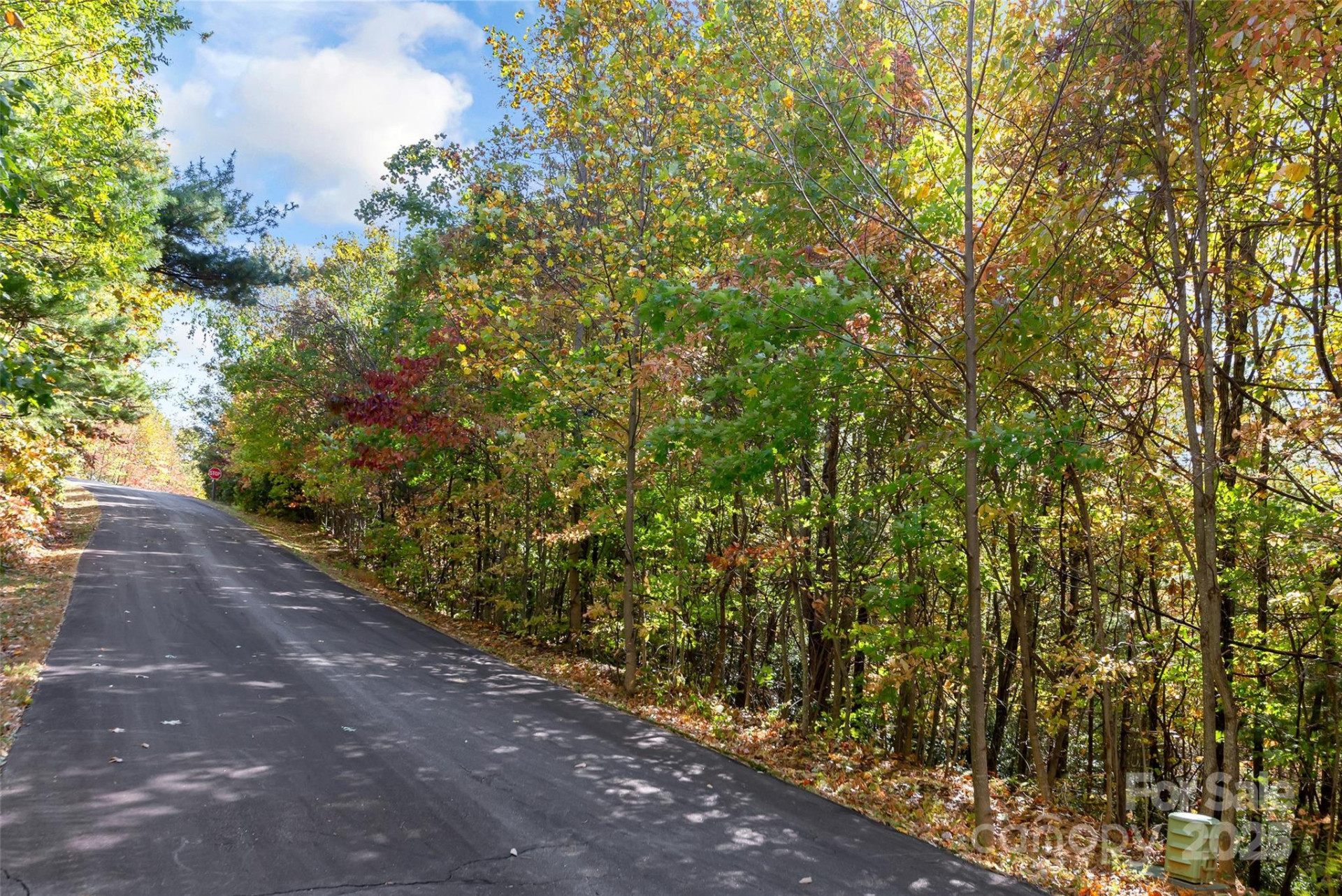 38 Attica Falls Trail - Photo 13